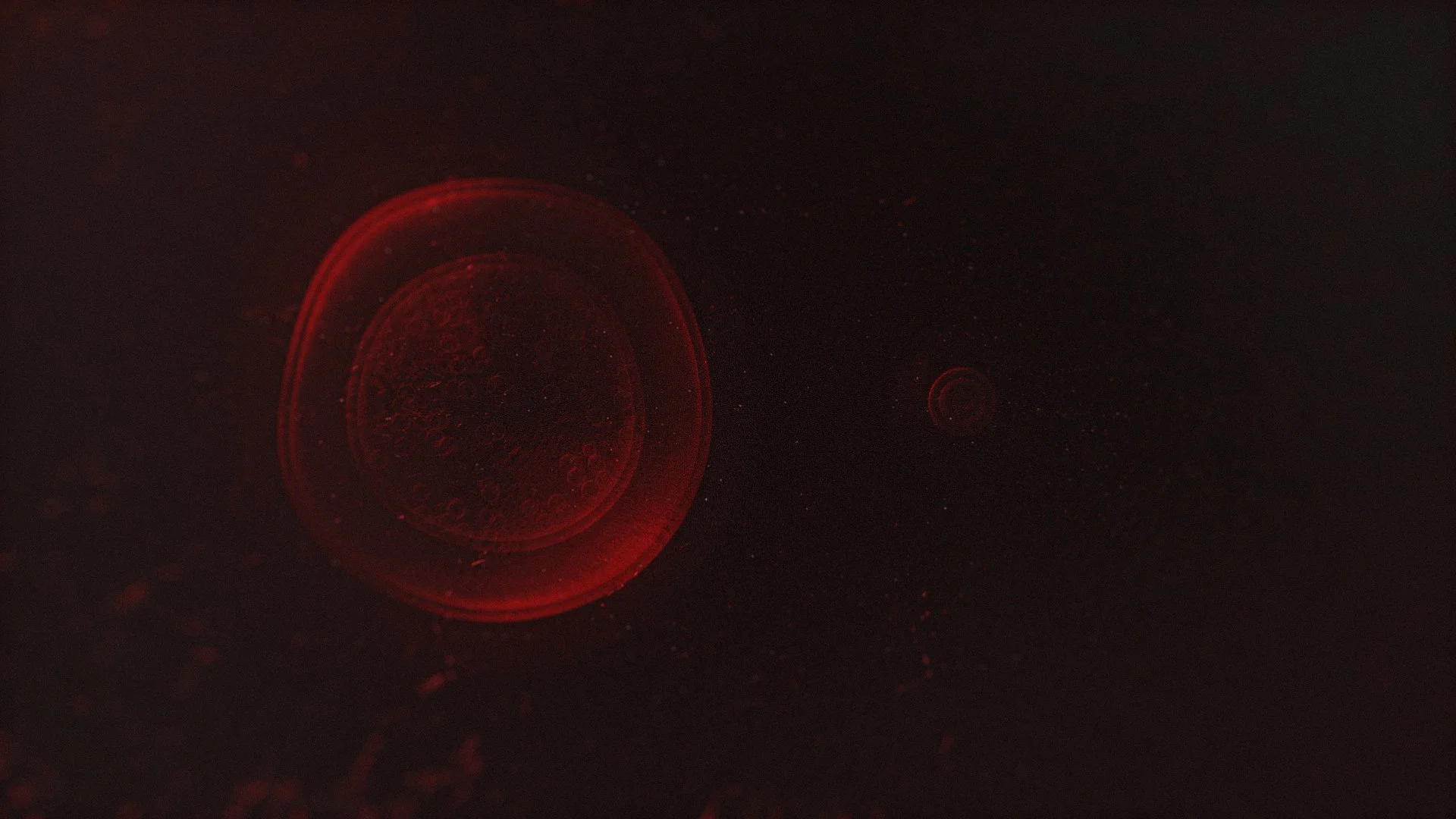 AAHS1102_SHOT_01_001.jpg