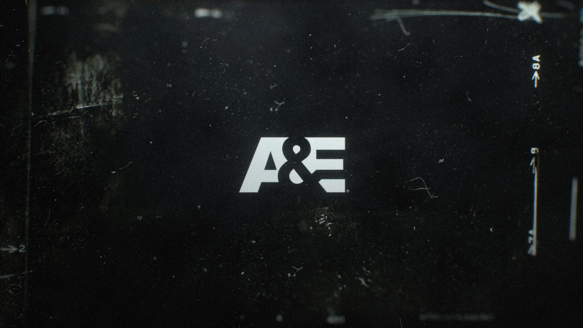 AE1008.JPG