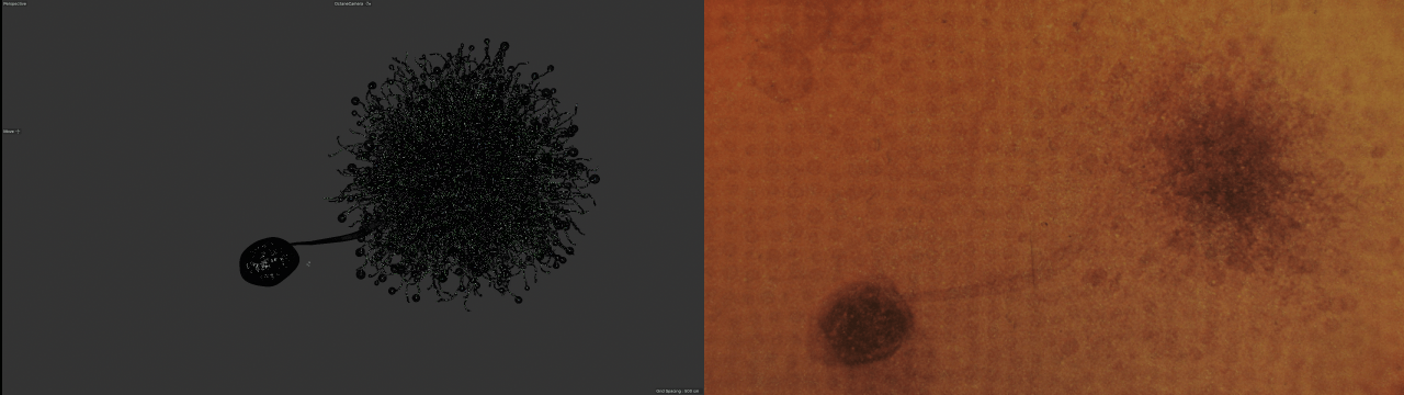 AHS1101_v007.gif
