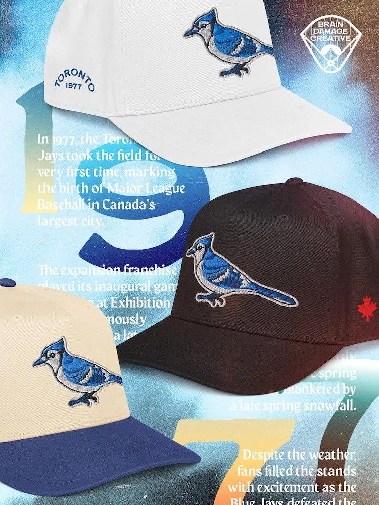 toronto blue jays mlb baseball gear apparel snapback cap retro vintage merch hat vladimir guerrero jr championship wins home run Rogers centre ontario gta the six world series pitcher playoffs 2025
