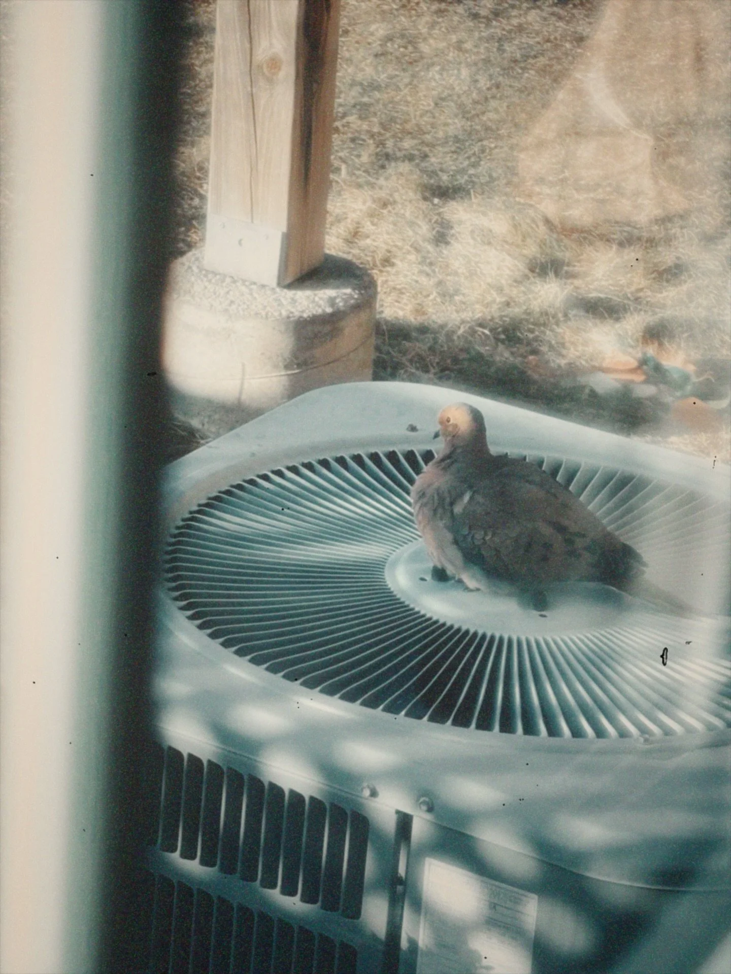 every morning half way thru my first coffee, there is usually a moment that I can feel all my nerves sharpen, cells jumping off in my brain; I can see things with such clarity, and anything is possible. if lucky I get to feel that once a day, its a g