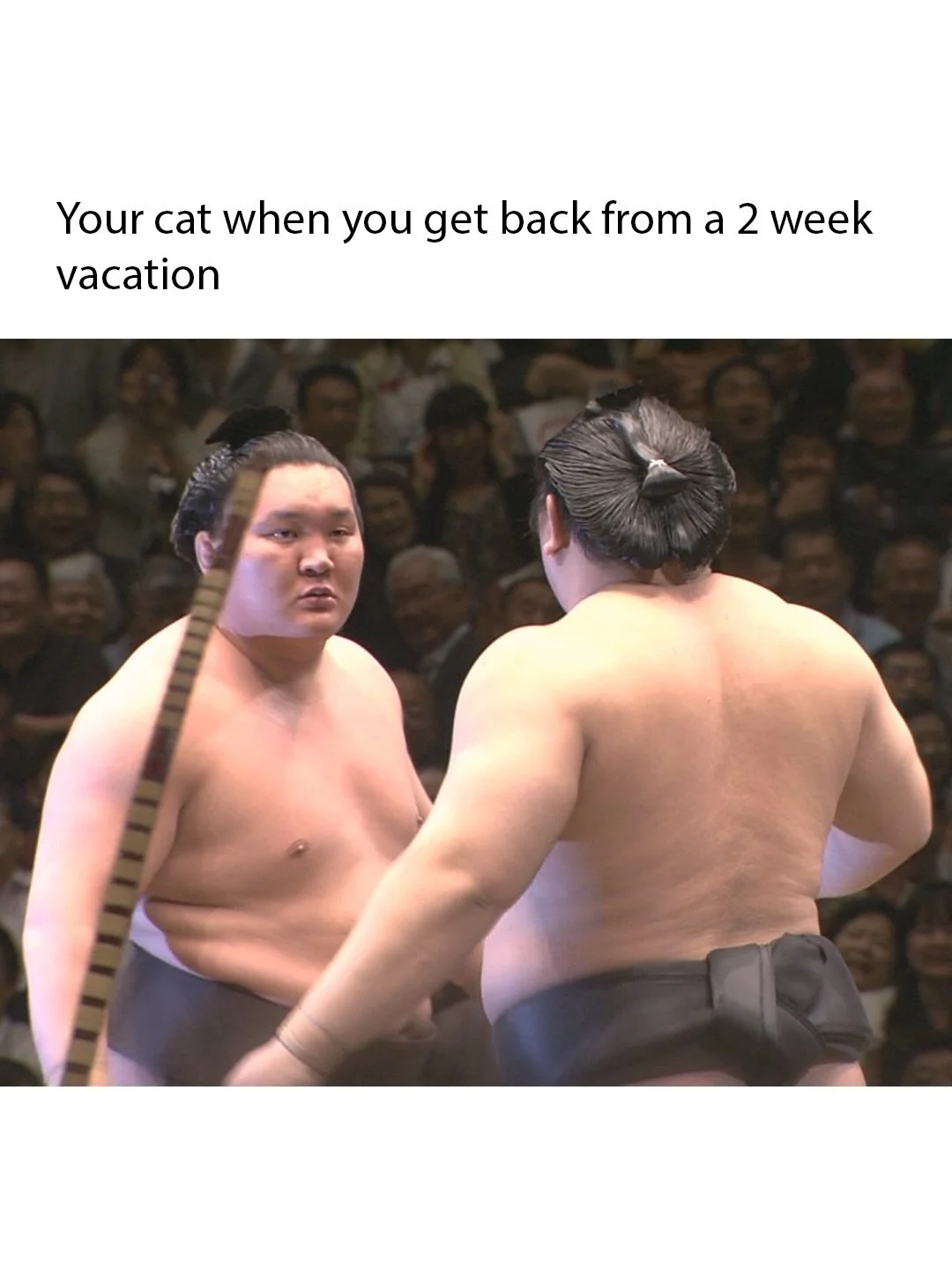 she the captain meow.

#hakuho #asashoryu #sumo #大相撲 #bardocraft