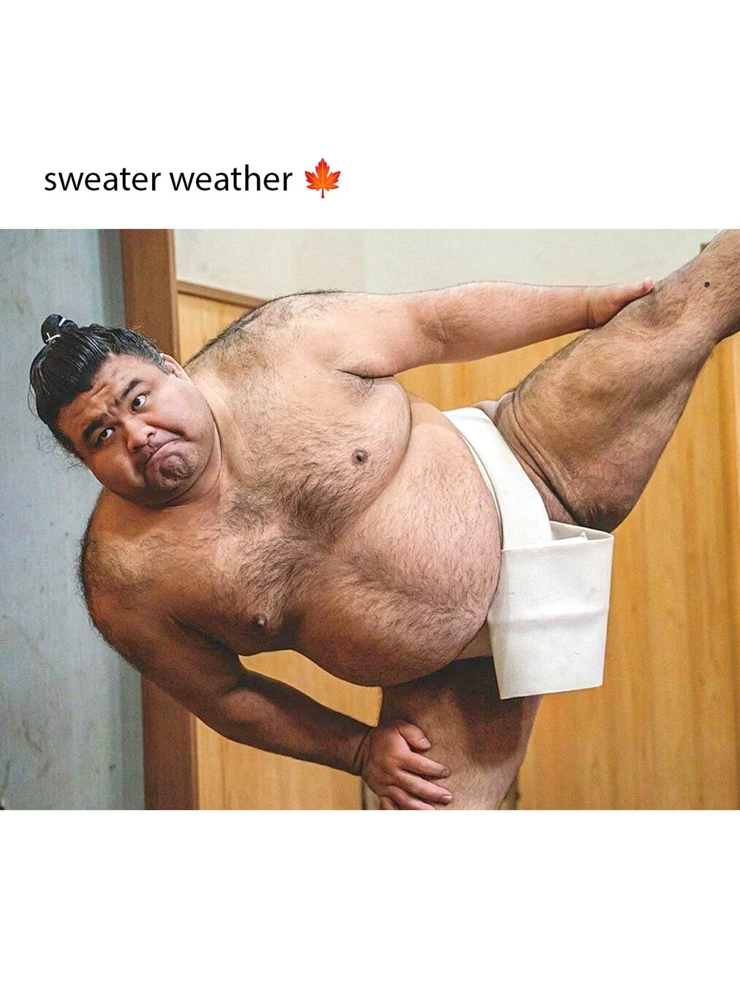 take out ur uggs, it's officially the pumpkin spice season.
 #髙安&nbsp;#Takayasu #sumo #大相撲&nbsp;#bardocraft