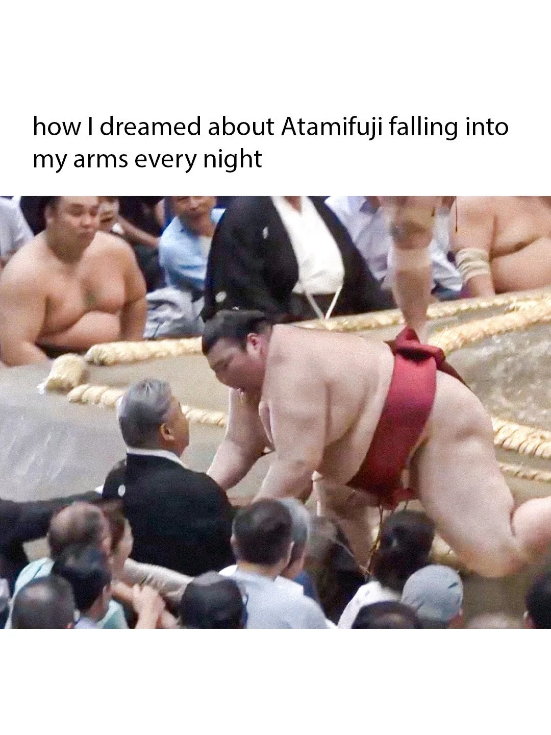 I think about it every night and day
spread my wings and fly away🪽 
#熱海富士 #Atamifuji #sumo #相撲&nbsp;#bardocraft