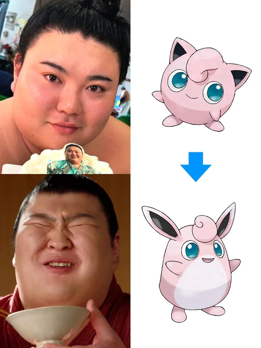 Atamifuji 熱海富士 Isegahama stable 伊勢ヶ濱部屋 Okaryu 大花竜 Tatsunami Stable 立浪部屋 pokemon ポケットモンスター Jigglypuff Wigglytuff プリン プクリン bardo craft bdcmma