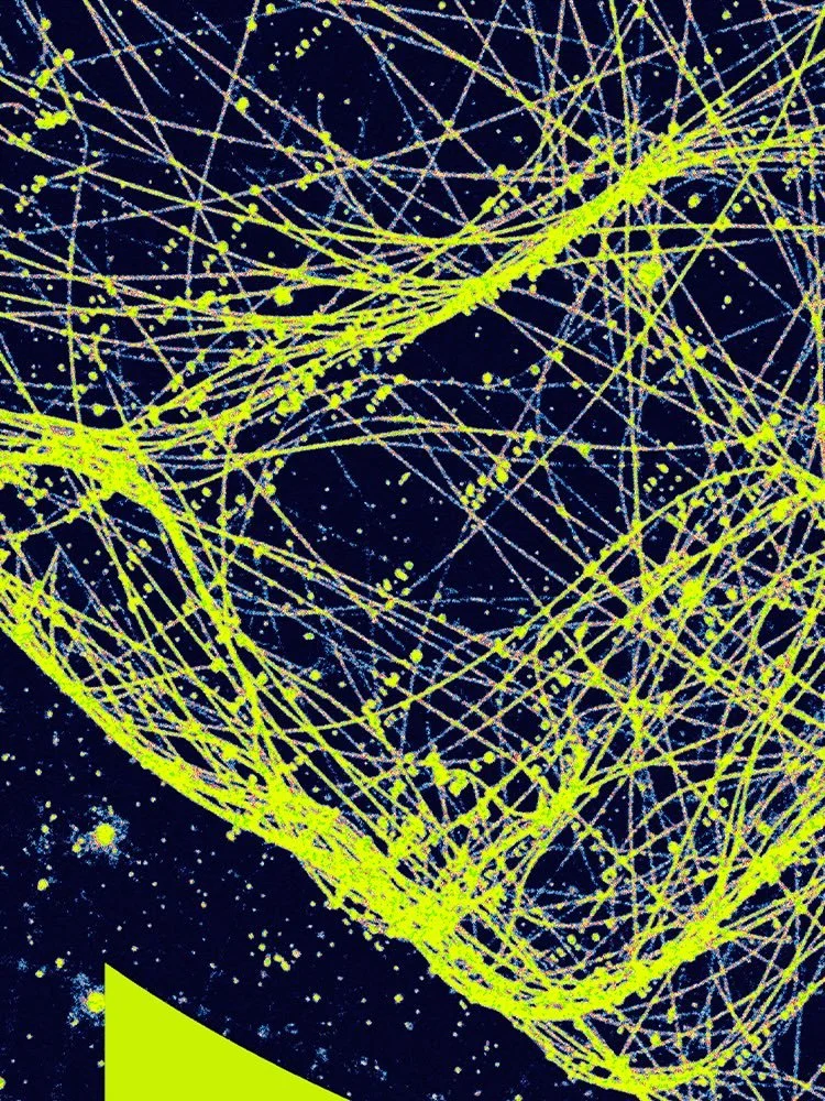 Ghost In The Shell science fiction art futuristic worldbuilding sci-fi space dystopian time travel interstellar adventure TV show movie film human technology realities parallel universe cyberpunk