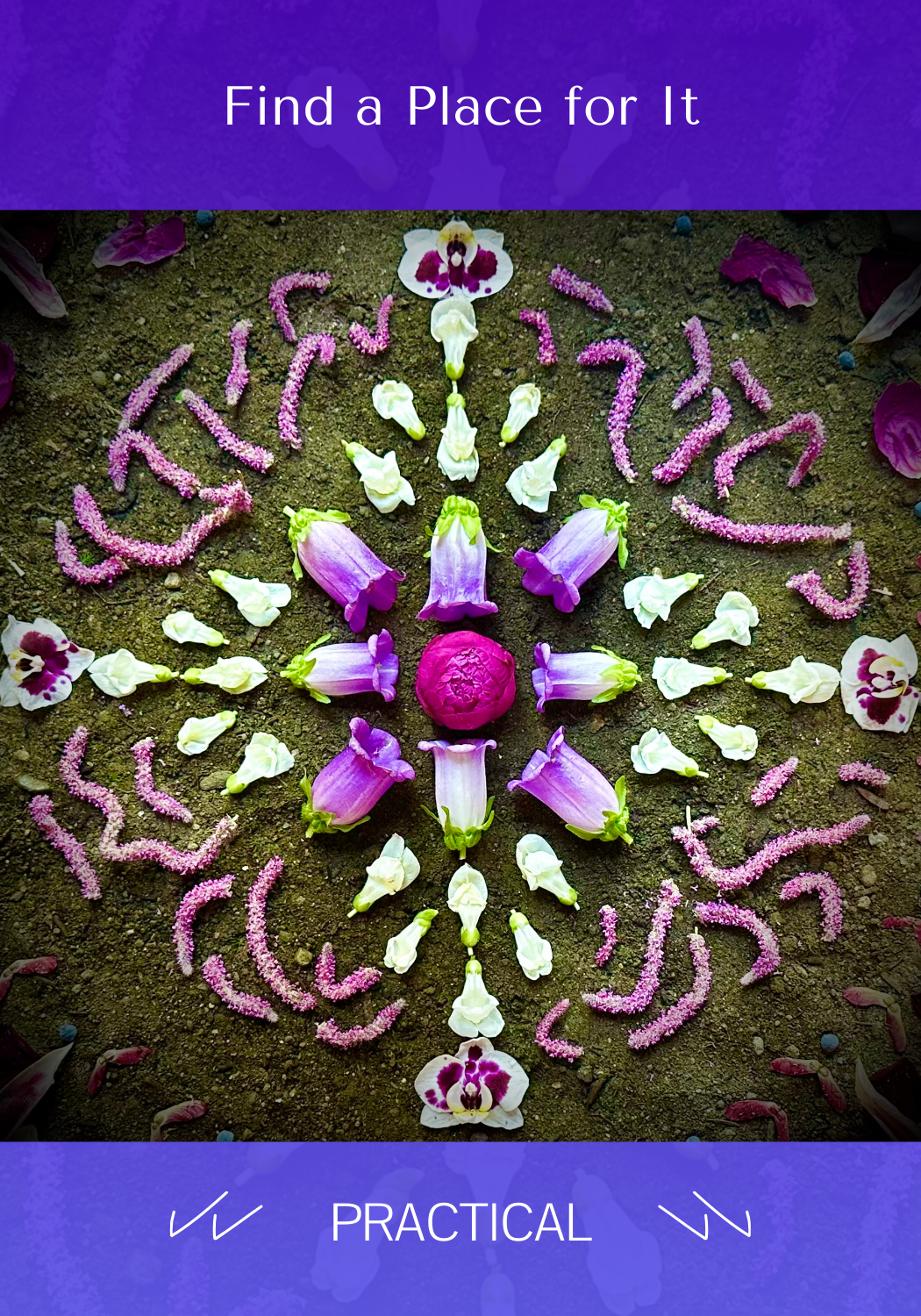 Find a Place for It Front - PRACTICAL.png