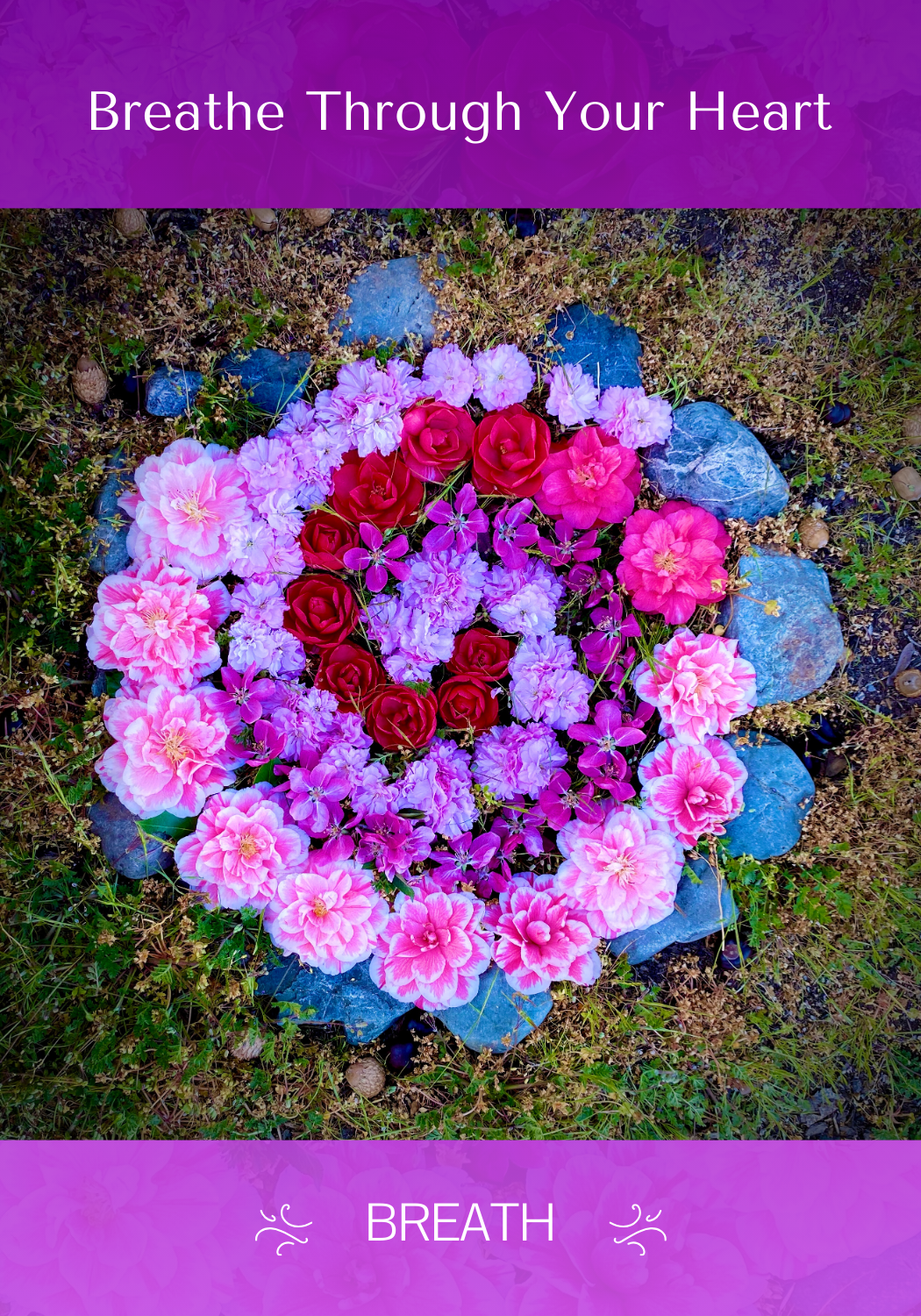 Breathe Through Your Heart Front - BREATH.png