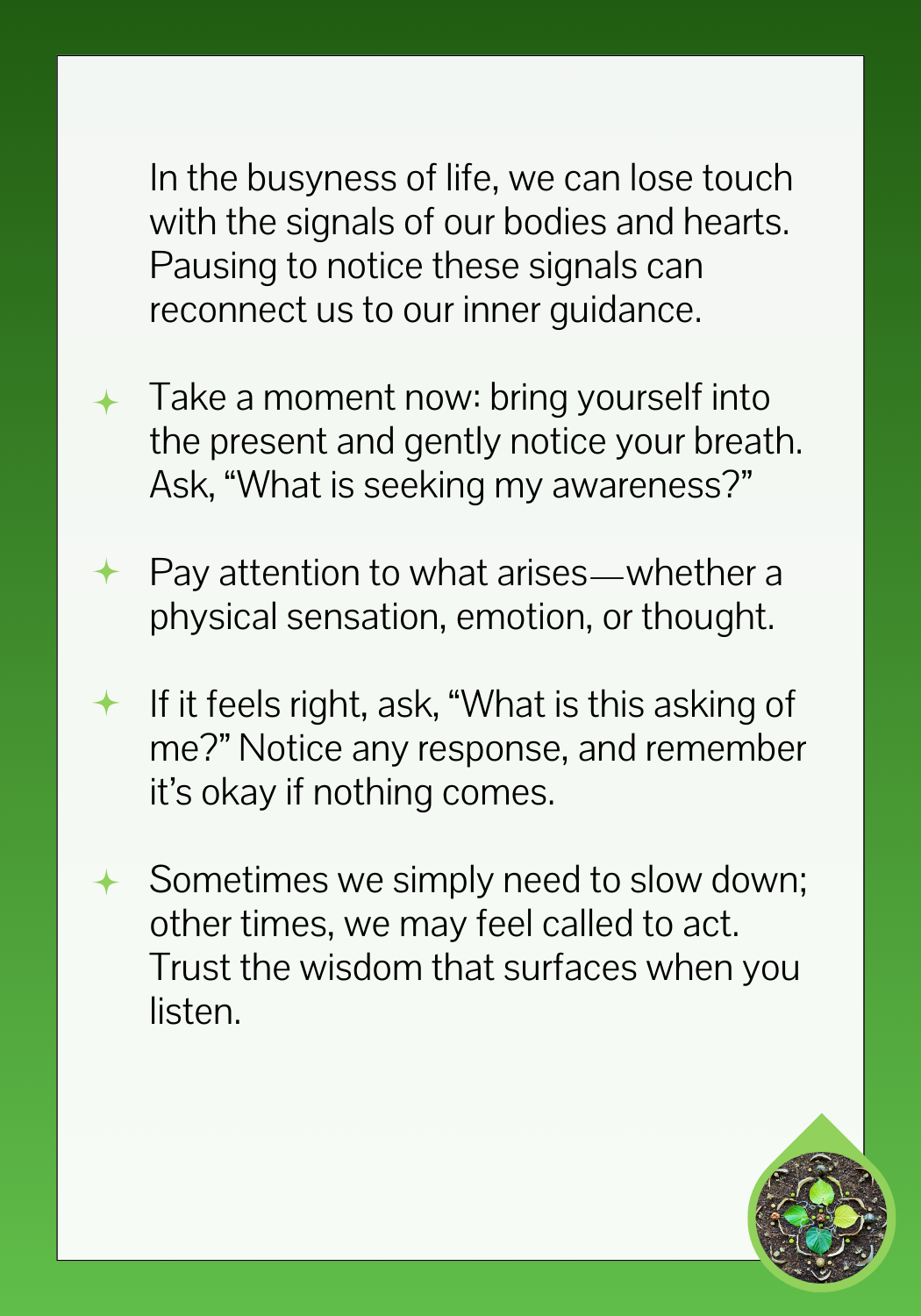 SELF-DISCOVERY - Cultivate Awareness back.png