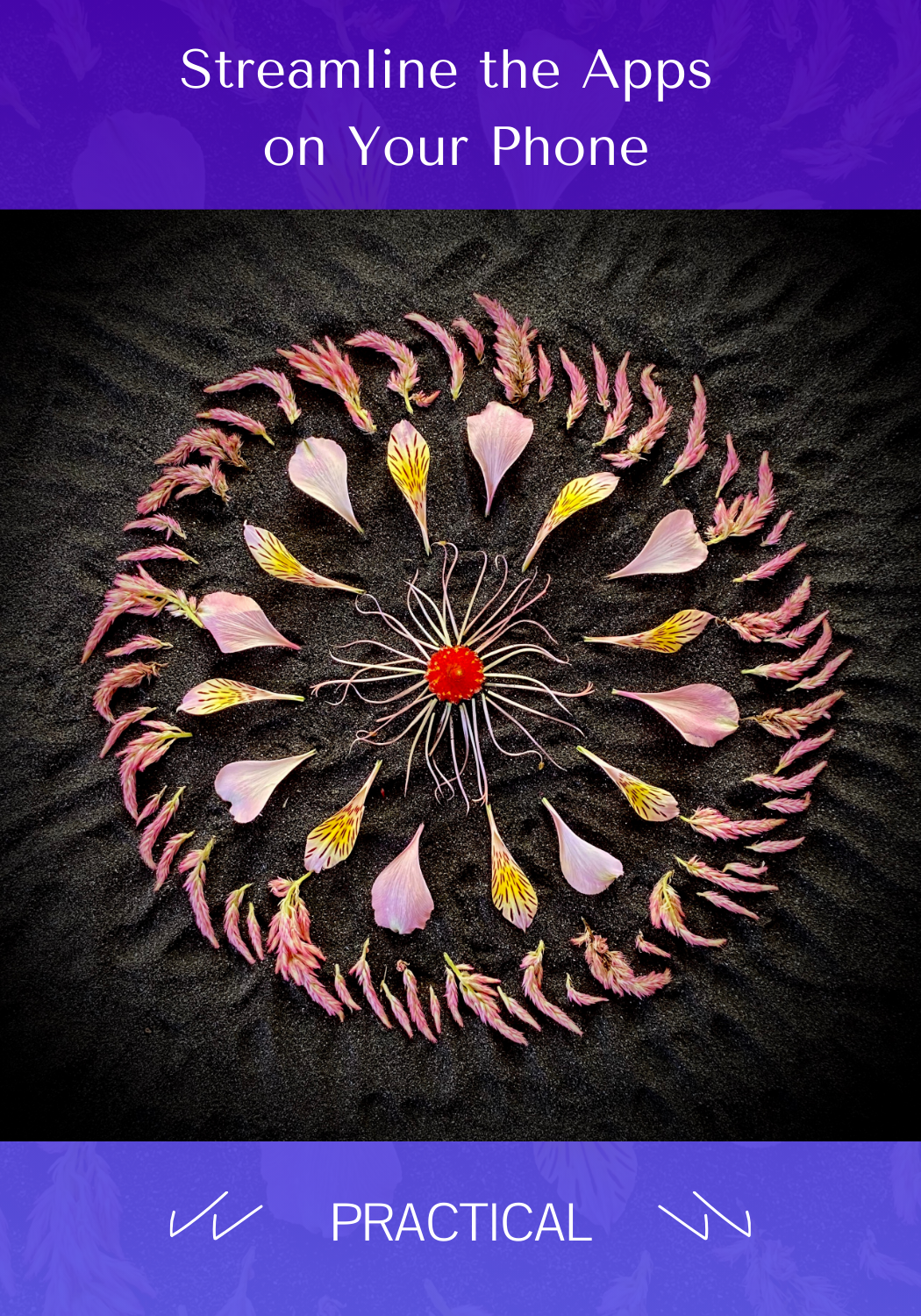 Streamline the Apps on Your Phone Front -  PRACTICAL.png