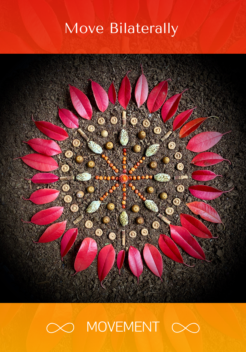 Bilateral Front -  MOVEMENT.png