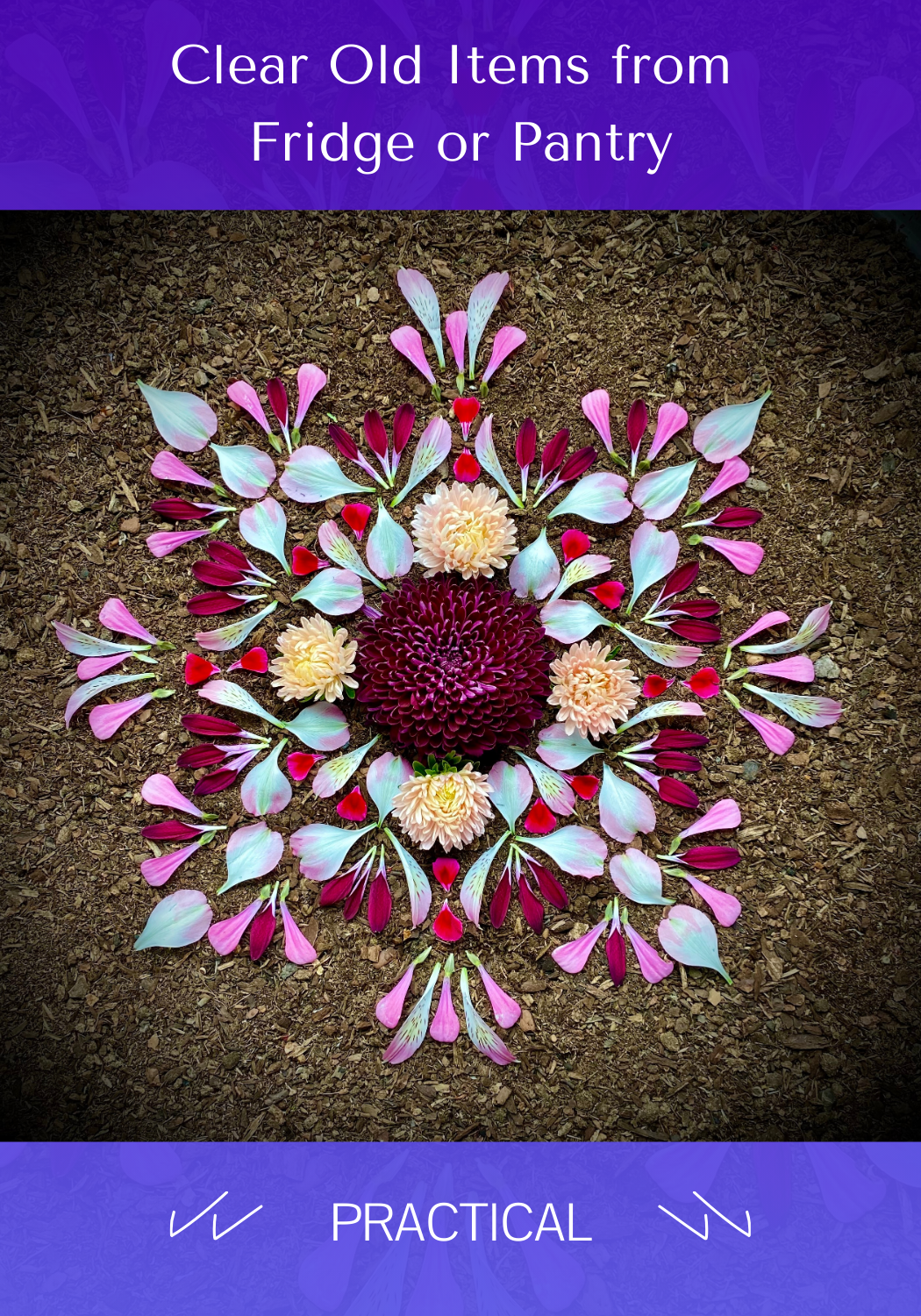 _Clear Fridge Front - PRACTICAL.png