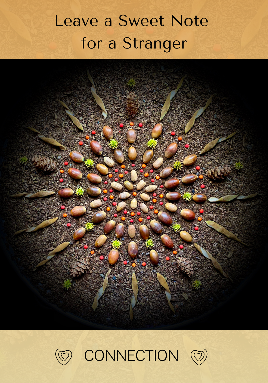 Sweet Note Stranger Front - CONNECTION.png