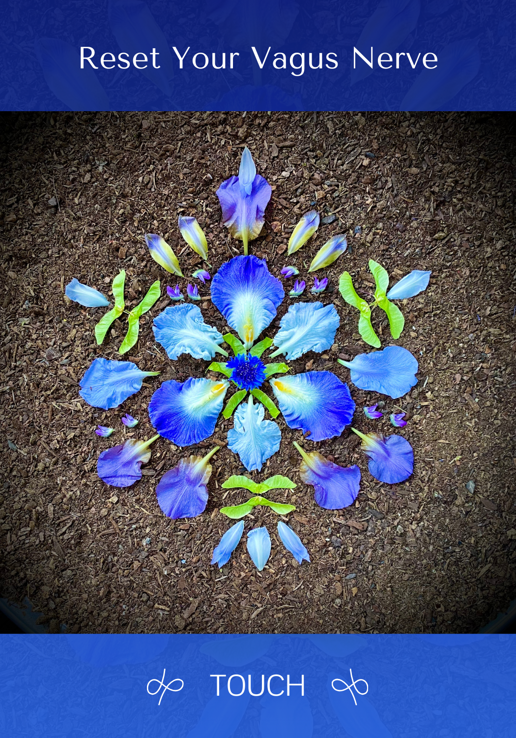 Face Massage Front - TOUCH.png