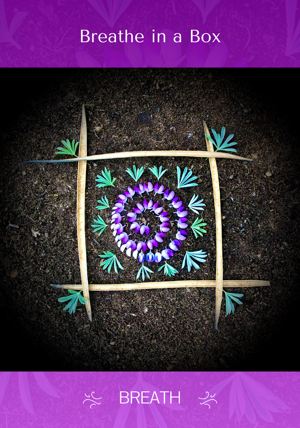 Breathe in a box front - BREATH.png