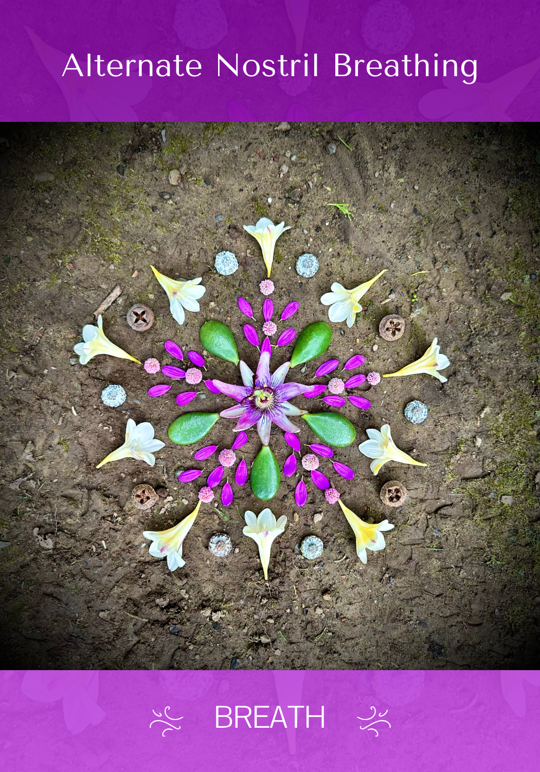 Alternate Nostril Front - BREATH.png
