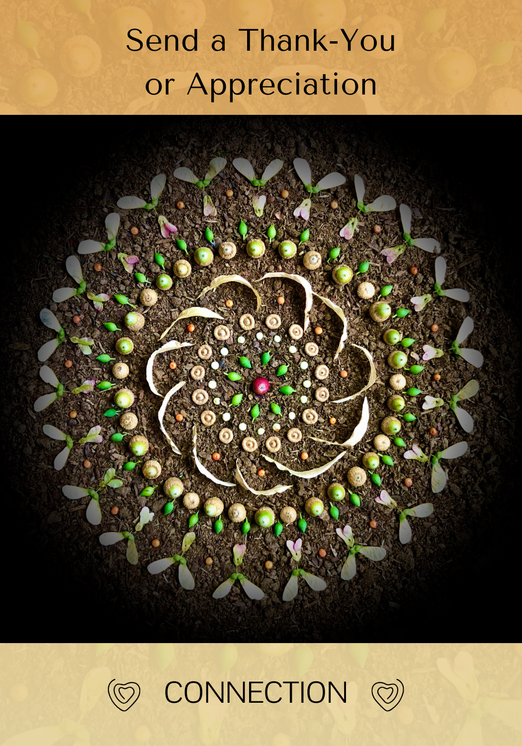 Thank you Front - CONNECTION.png