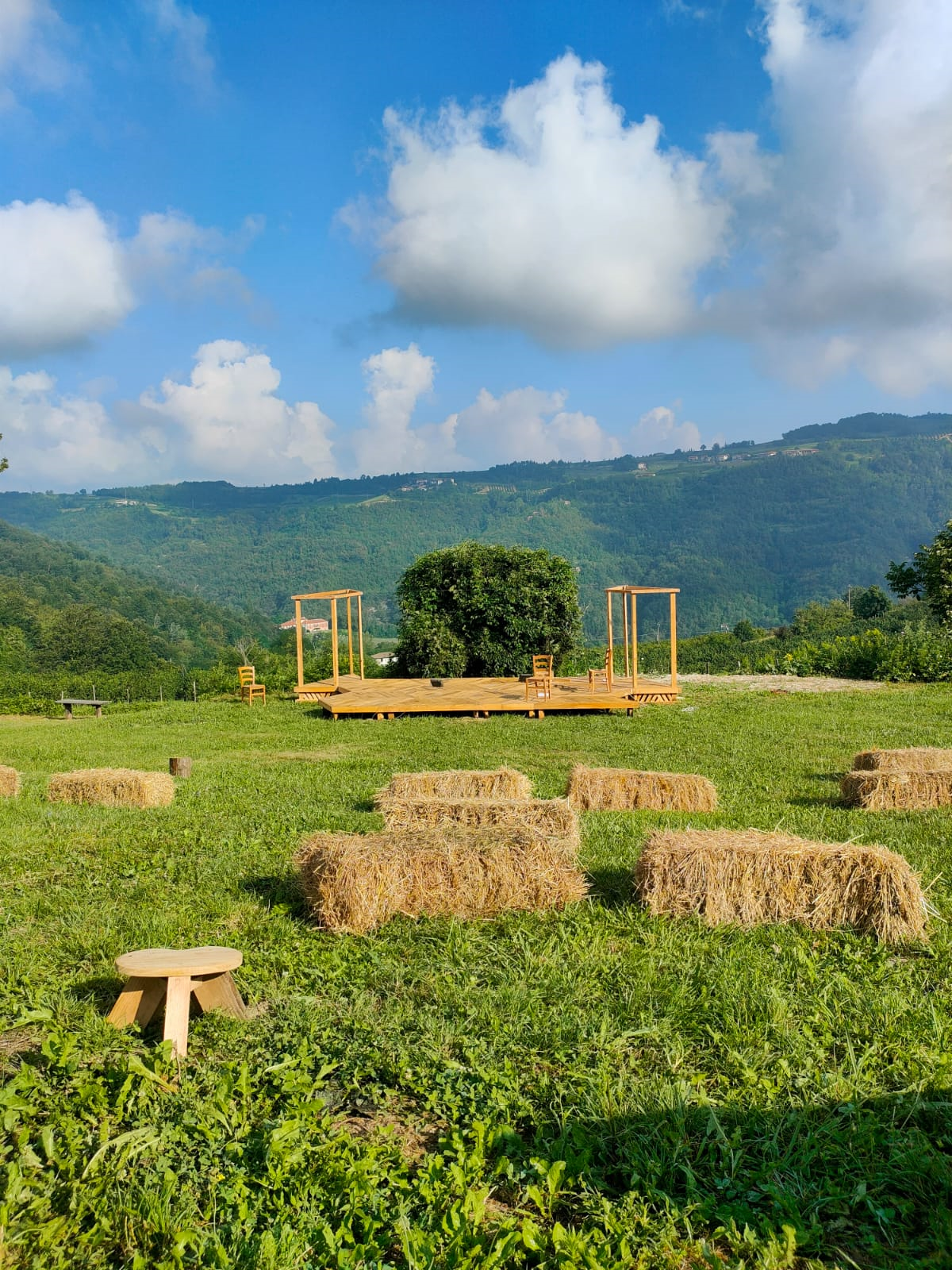 WhatsApp Image 2023-09-11 at 14.16.48.png