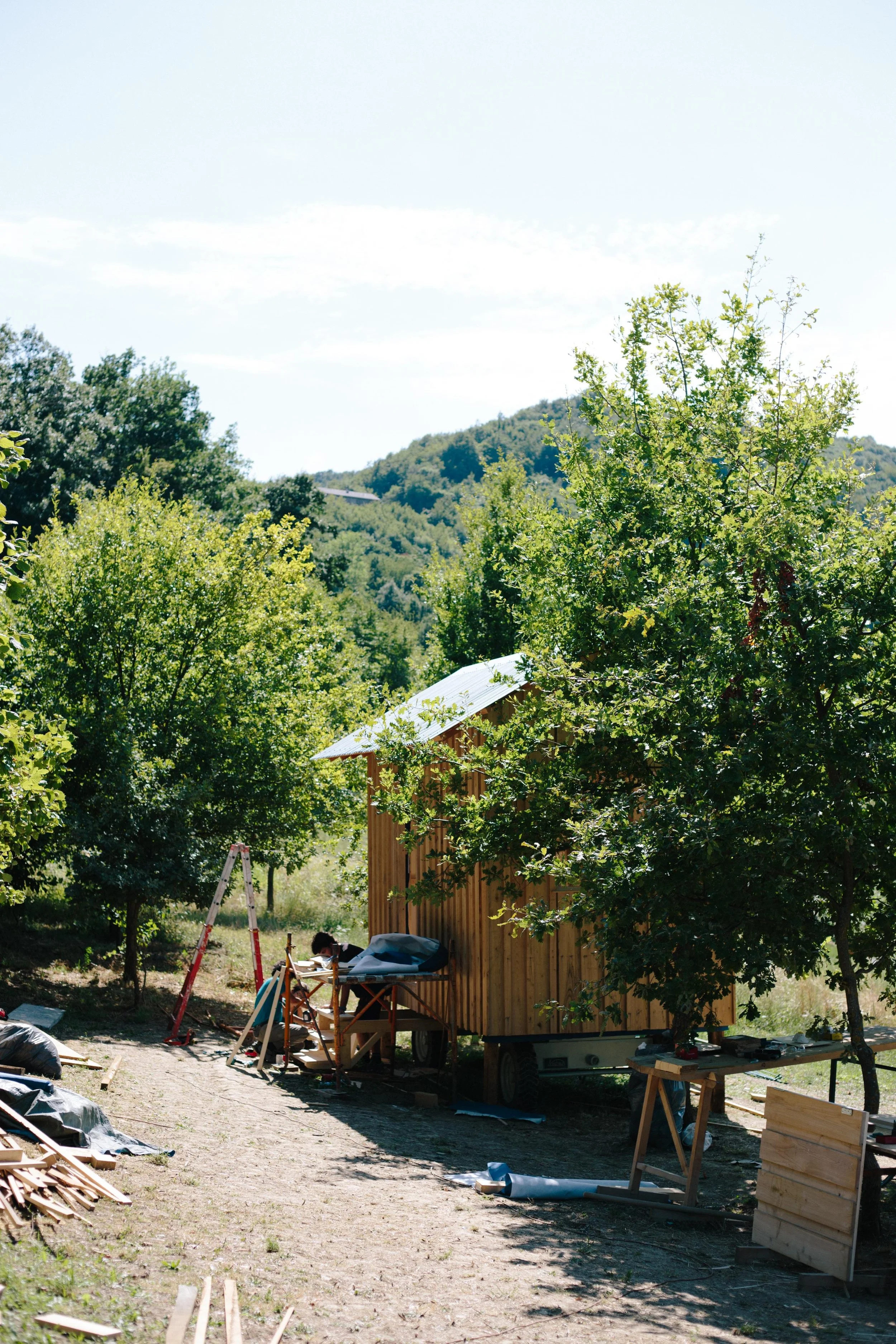 WhatsApp Image 2025-07-28 at 22.13.04.jpeg