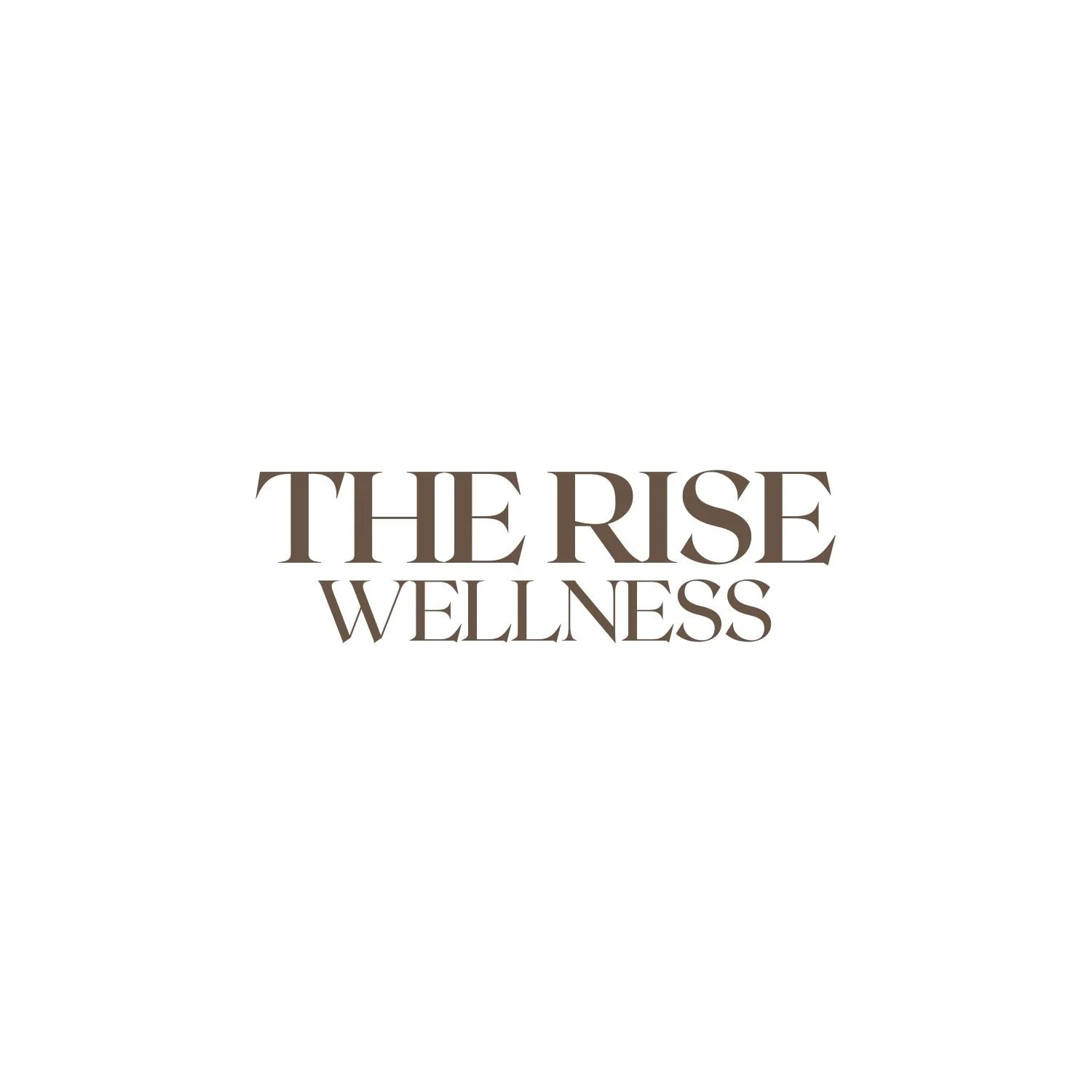 The Rise Wellness - Single (1) Winter Wellness Retreat Admission