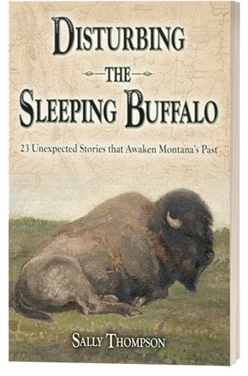 Book (cover) by Sally Thompson called Disturbing the Sleeping Buffalo