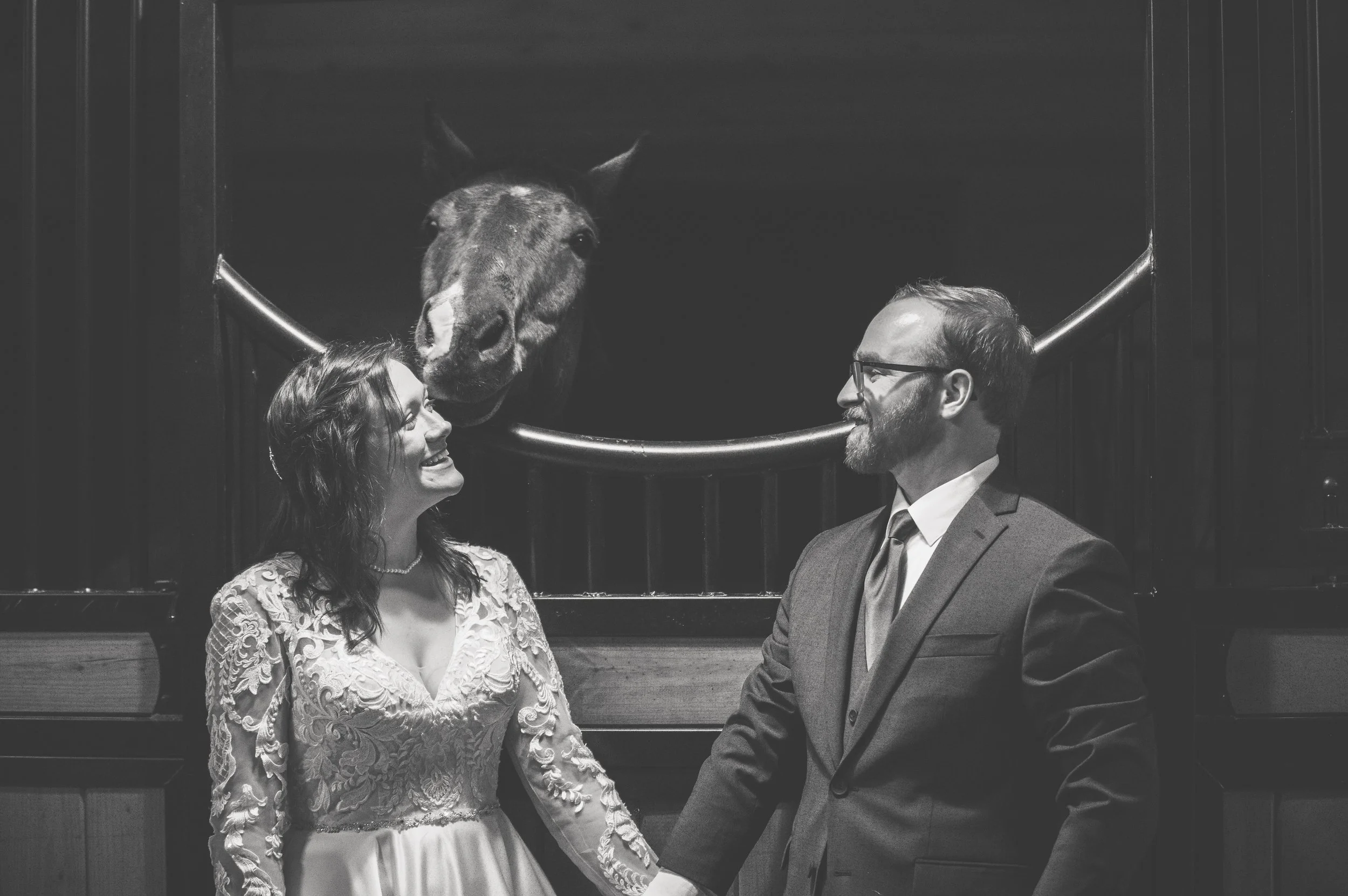 DSC_5668 WEBSITE.jpg