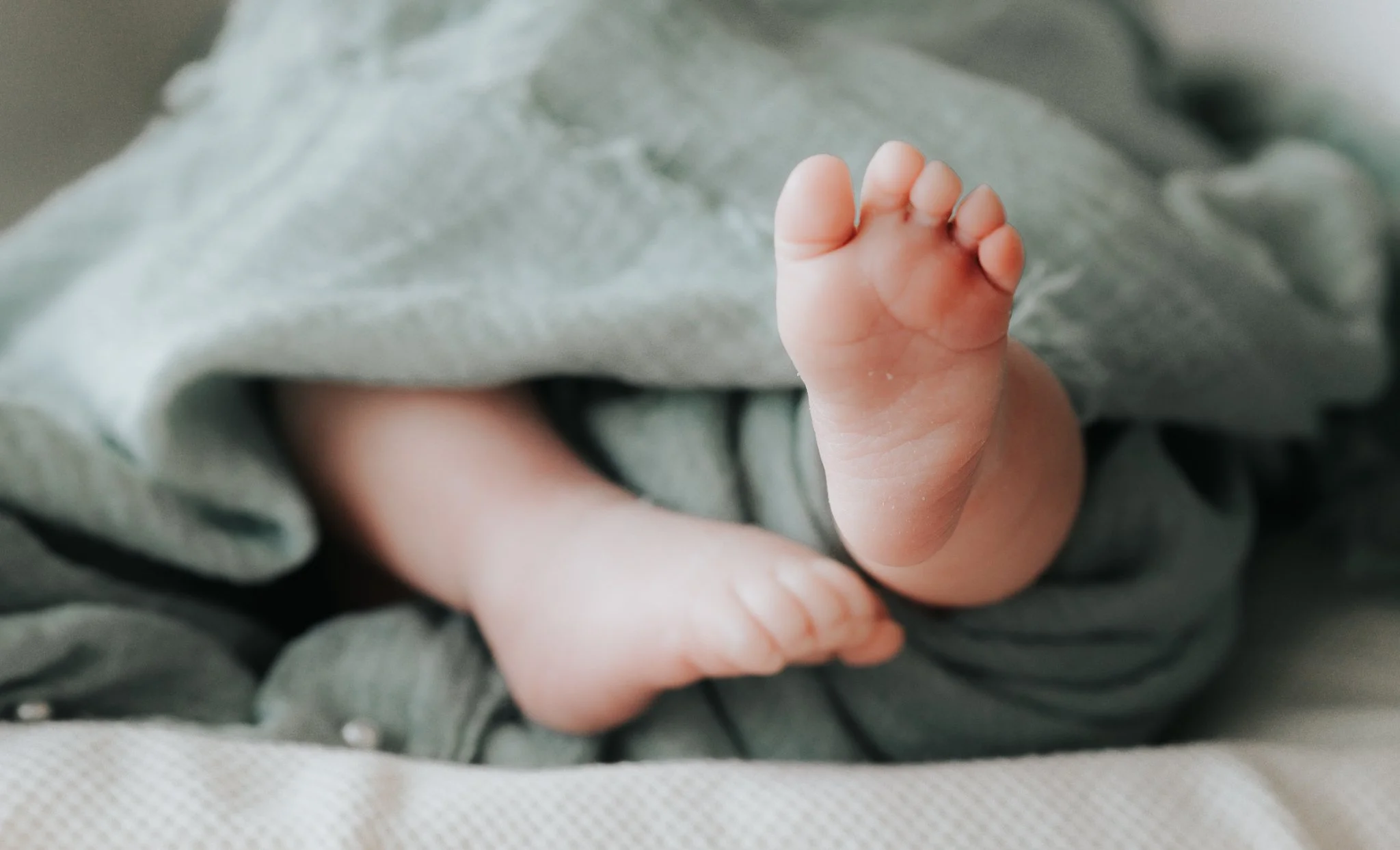 TaylorHazel2024v2-26 website.jpg