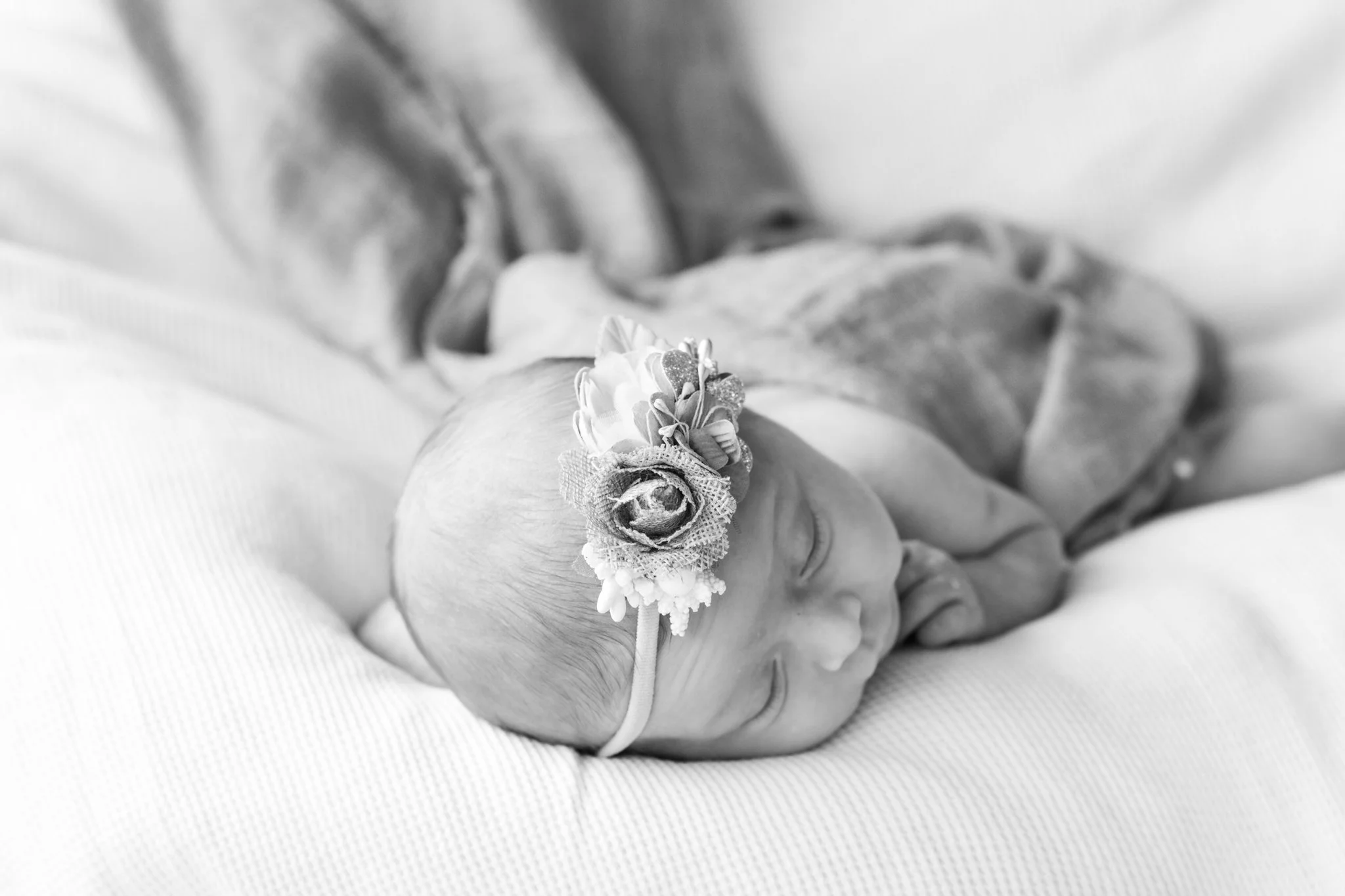 TaylorHazel2024v2-01 website.jpg