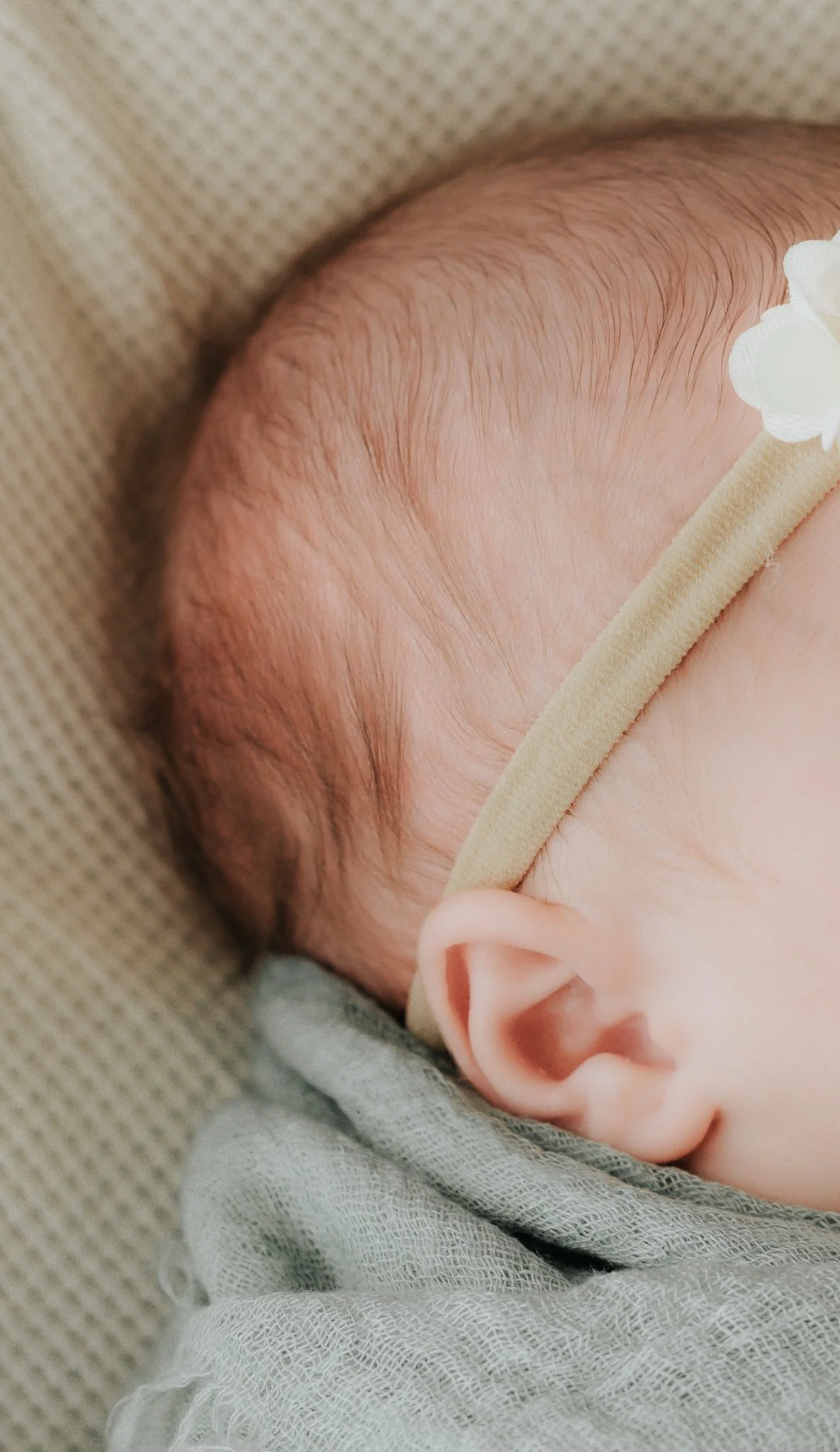 TaylorHazel2024v2-39 website.jpg