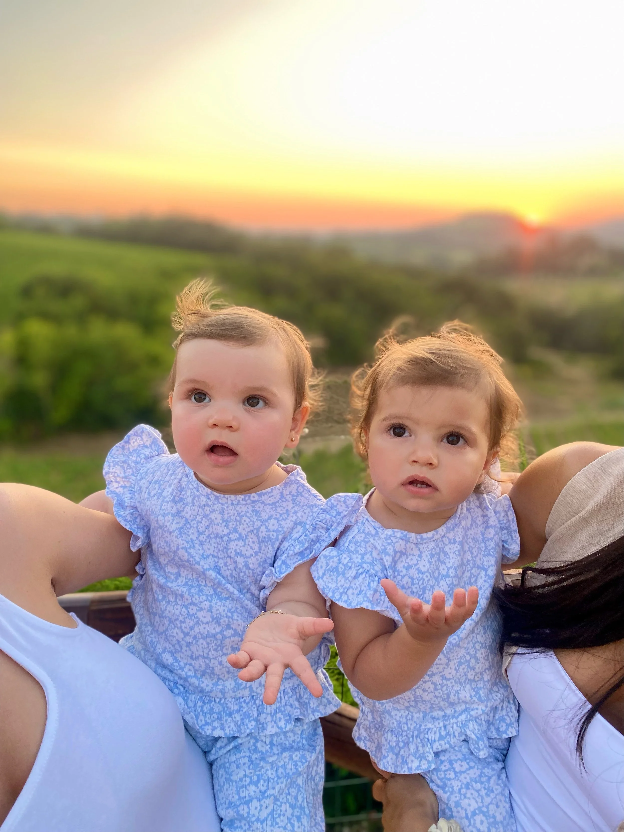 Two young girls with brown hair, wearing matching blue patterned dresses, being held up outdoors at sunset with a green landscape in the background.