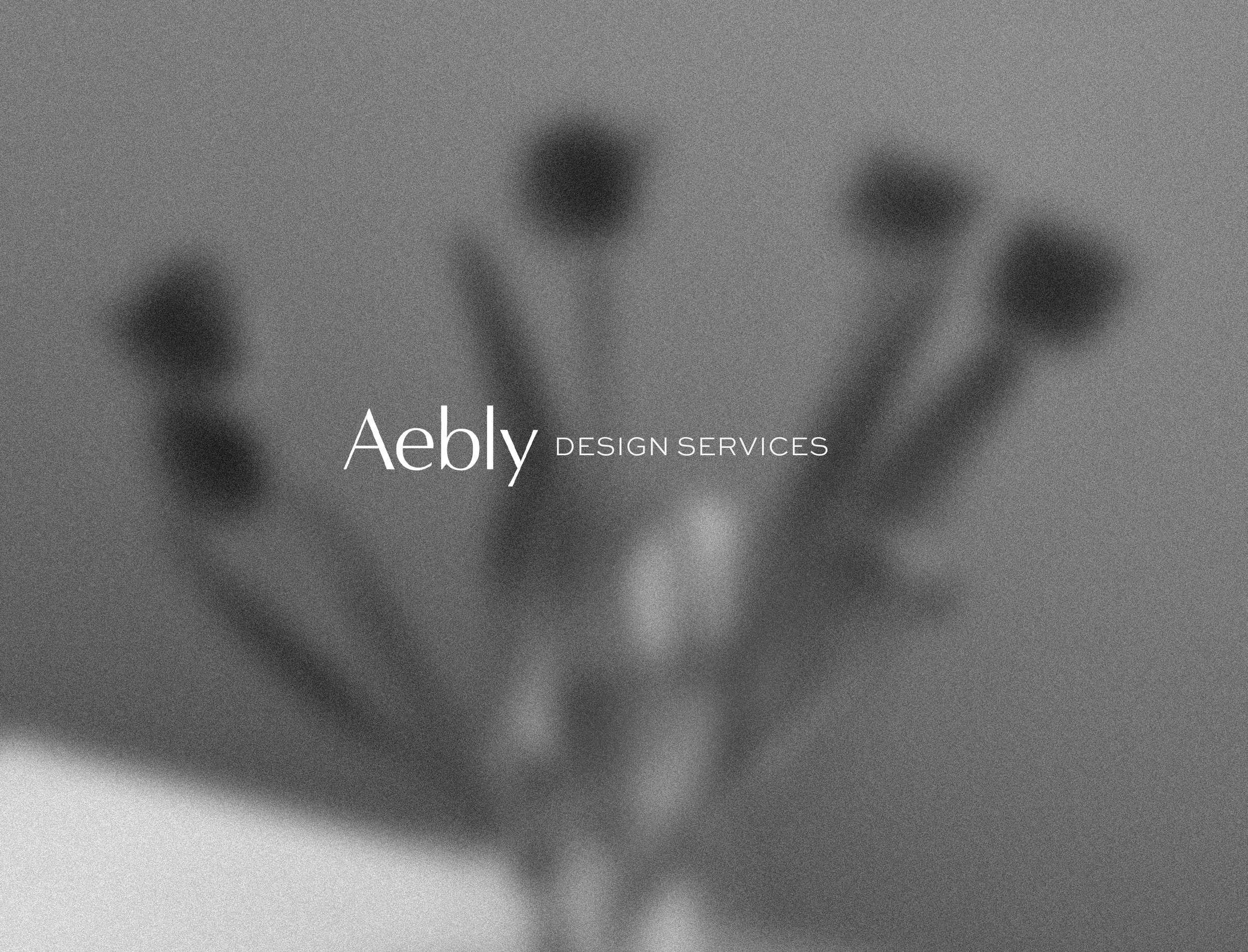 Aebly-NewReferralProgram.png