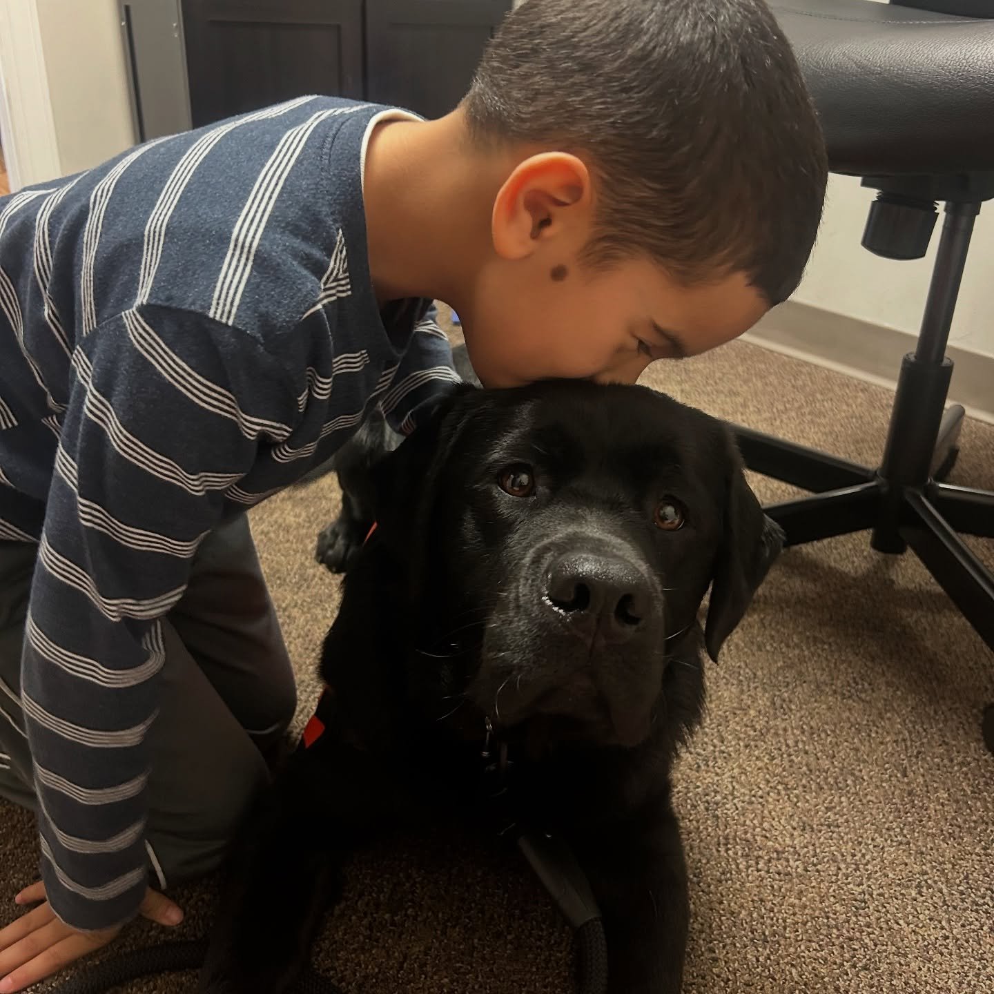 Therapy Dogs in action!🐾💙

David &amp; Sugar the Mini Aussie and Katherine &amp; Casey the Black Lab did an incredible job today during their visit with the kids! The pups had a wonderful learning experience, and the smiles from the kids and their 
