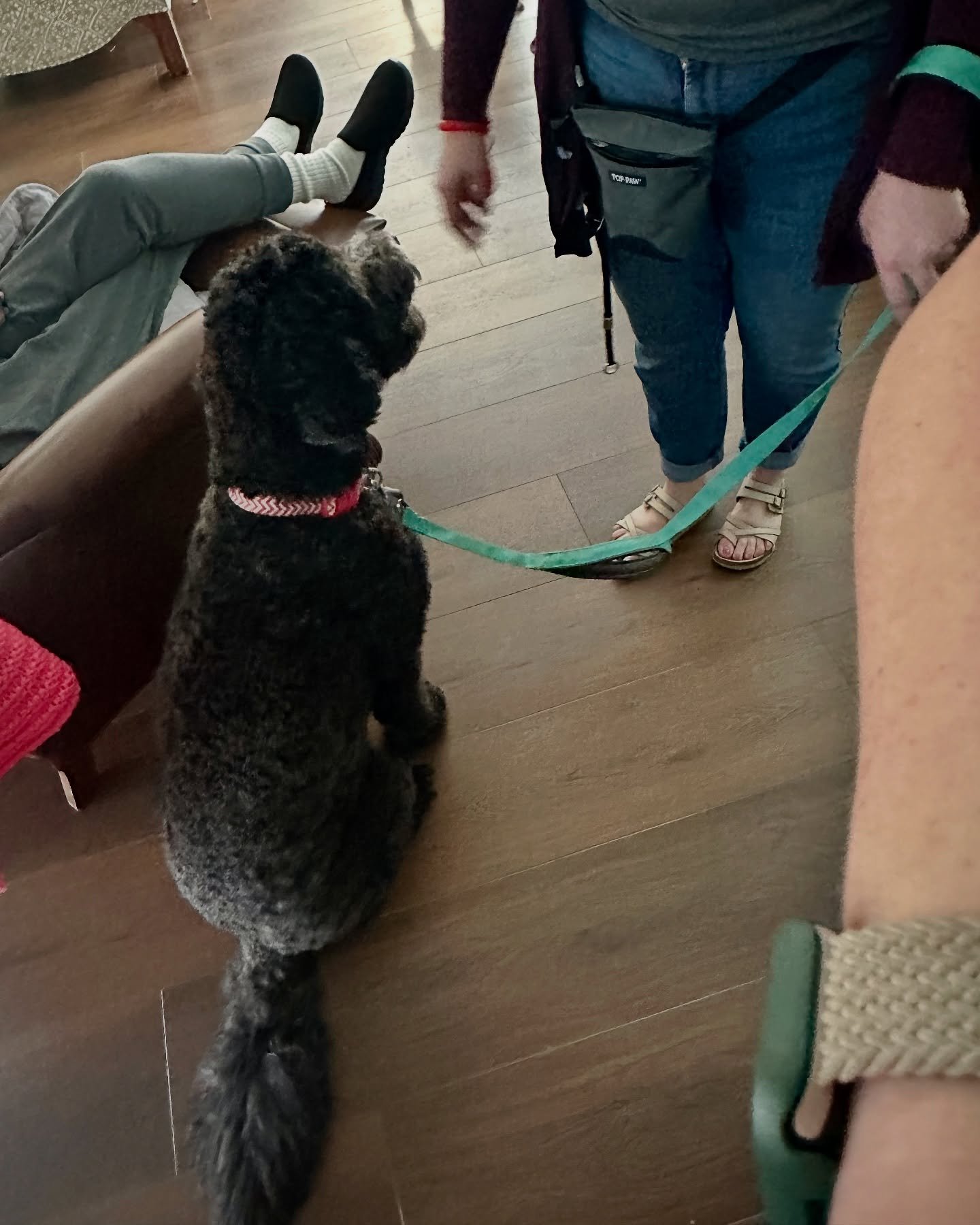 Our therapy dog teams brightened the day for some wonderful seniors today, bringing comfort, smiles, and plenty of tail wags. #TherapyDogs #TrustedTails #BringingJoyOnePawAtATime