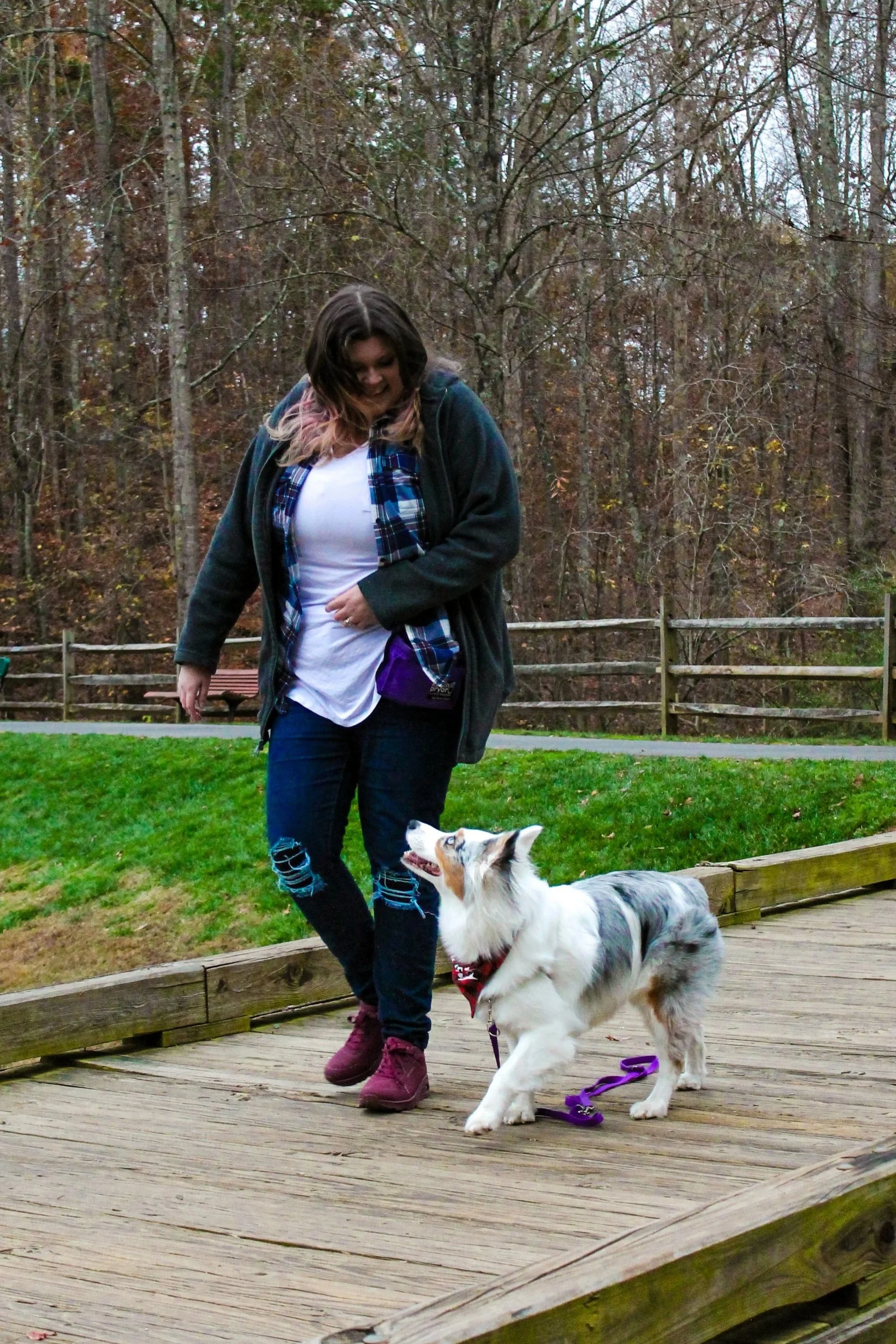 Dog trainer with Australian shepherd dog