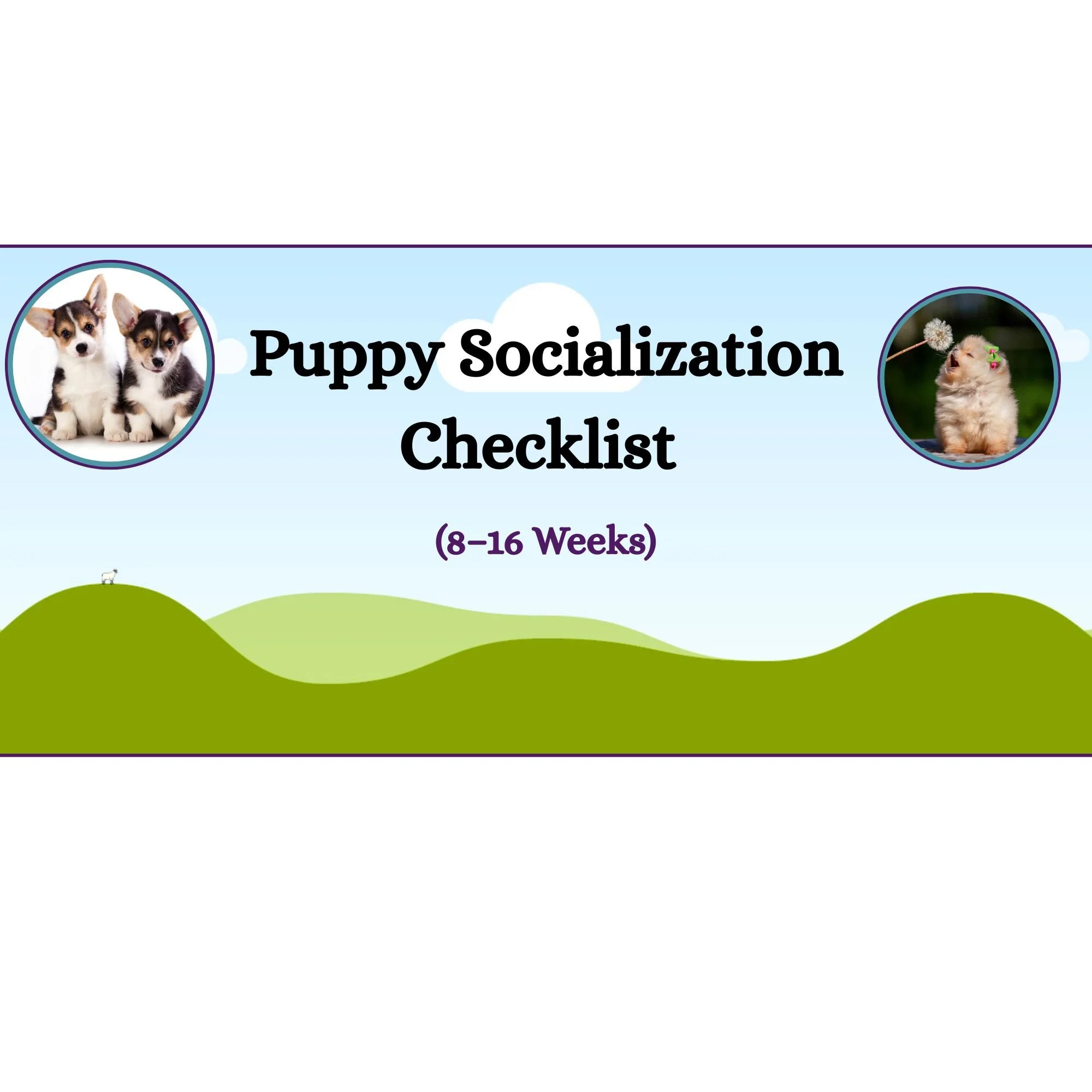 Puppy Socialization Checklist