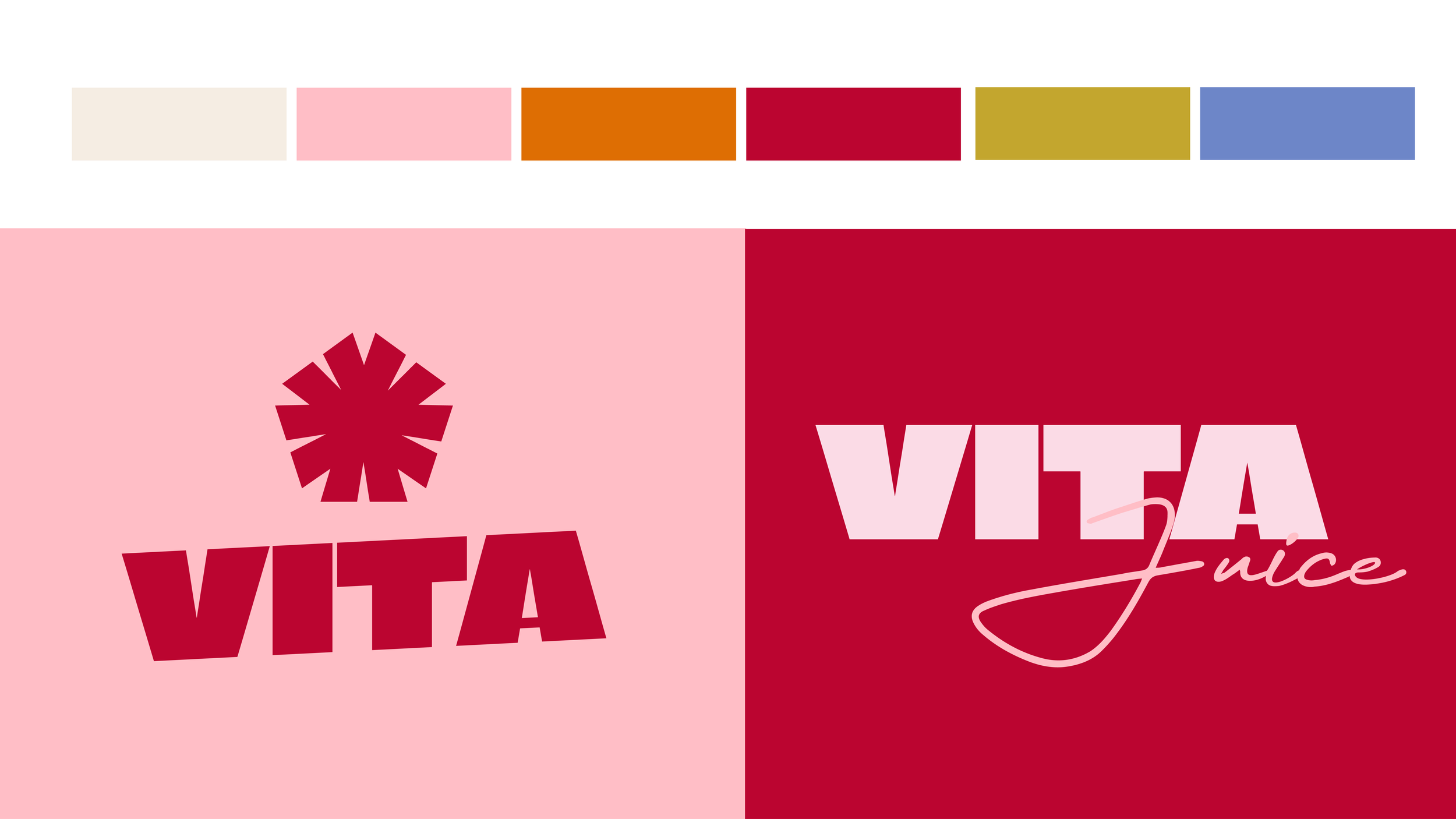 Vita JuiceArtboard 8 copy 2.png
