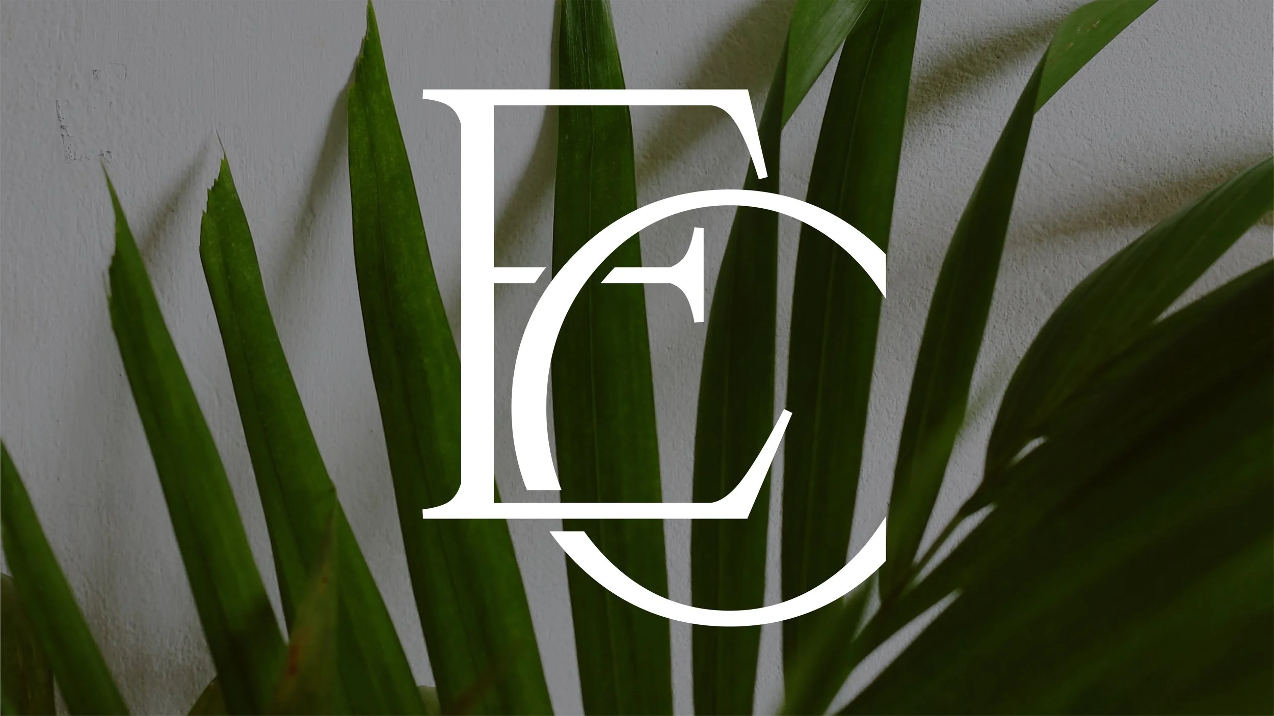 Artboard 1 copy 16.jpg