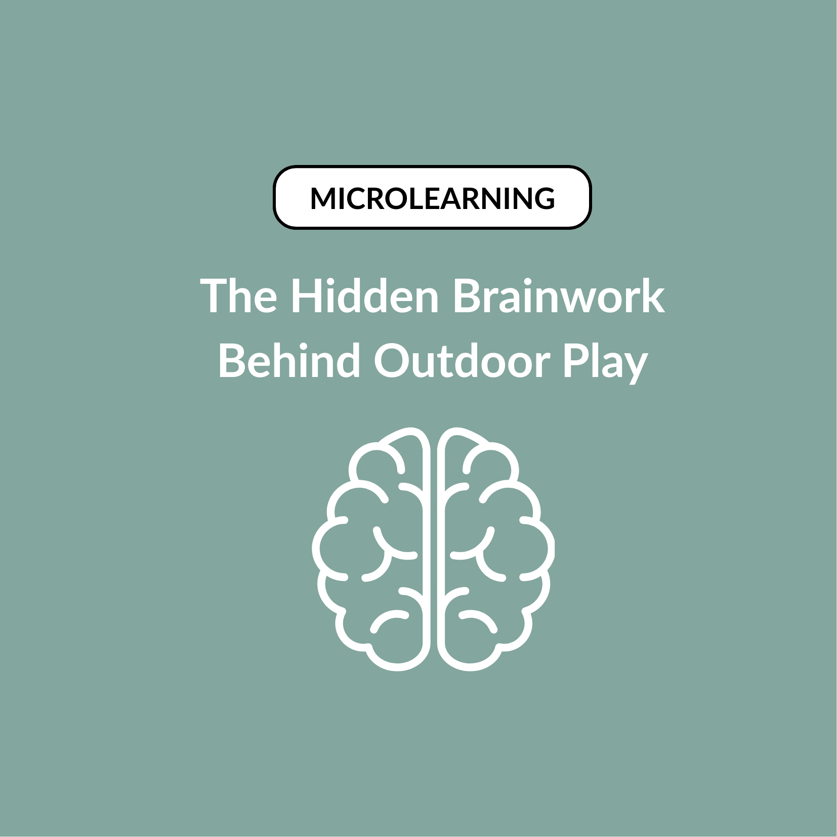 Brain and Play (2).png
