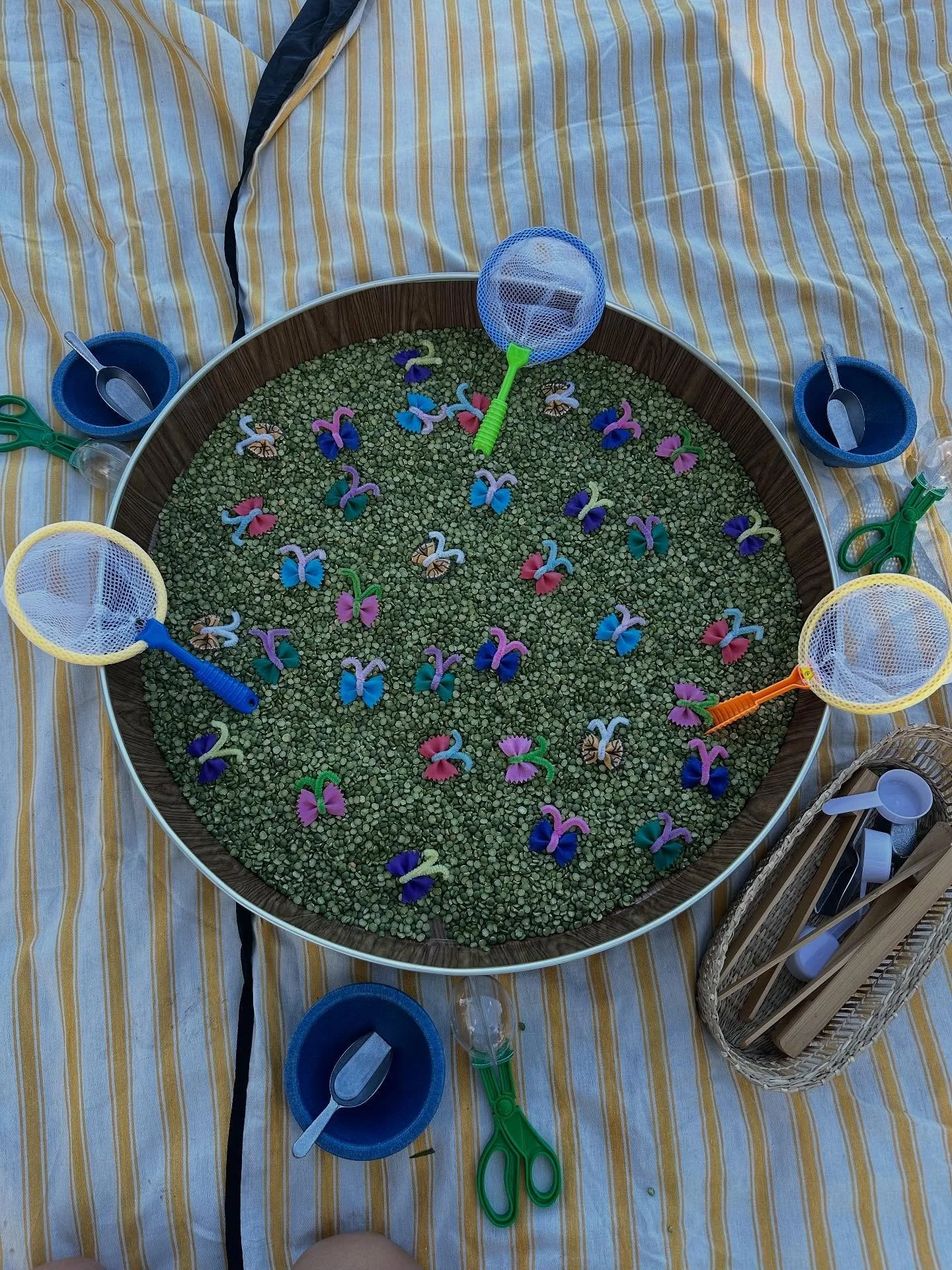 Week 1 magic ✨

Butterflies 🦋
#sensory #art #toddlerclass #mommyandme #watercolors #musicandmovement #sproutnshine #ranchobernardo #poway #escondido #scrippsranch #carmelmountainranch #ranchopenasquitos