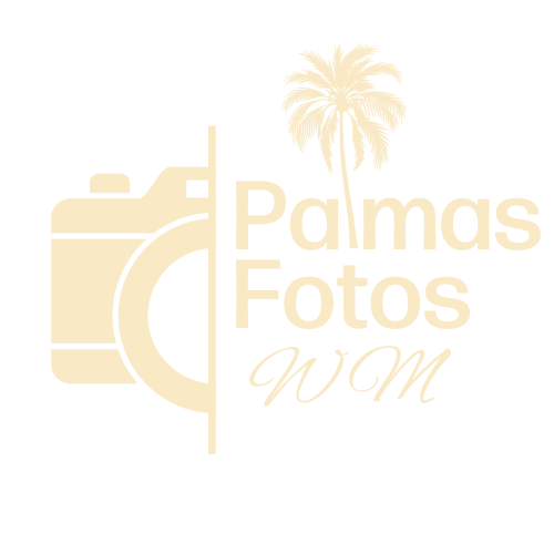 Palmas Fotos