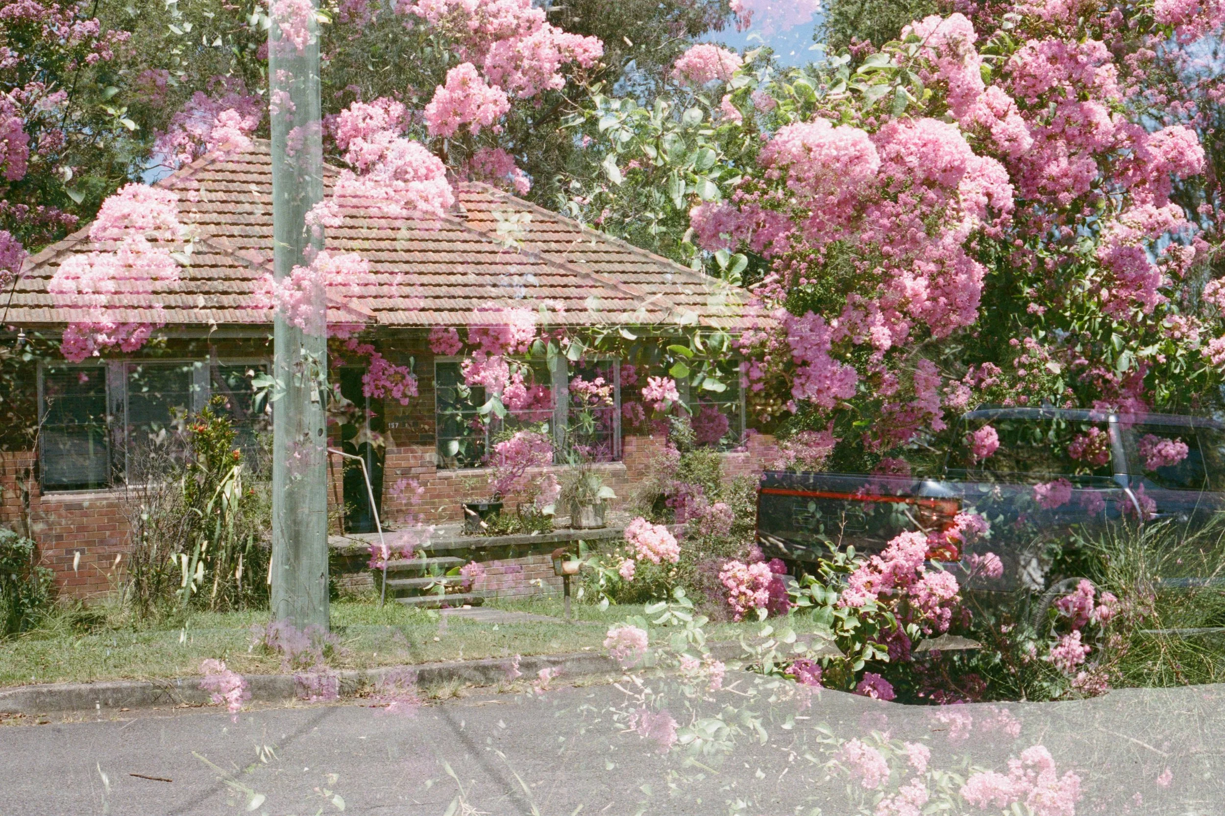 JESMOND_Joel-5.jpg