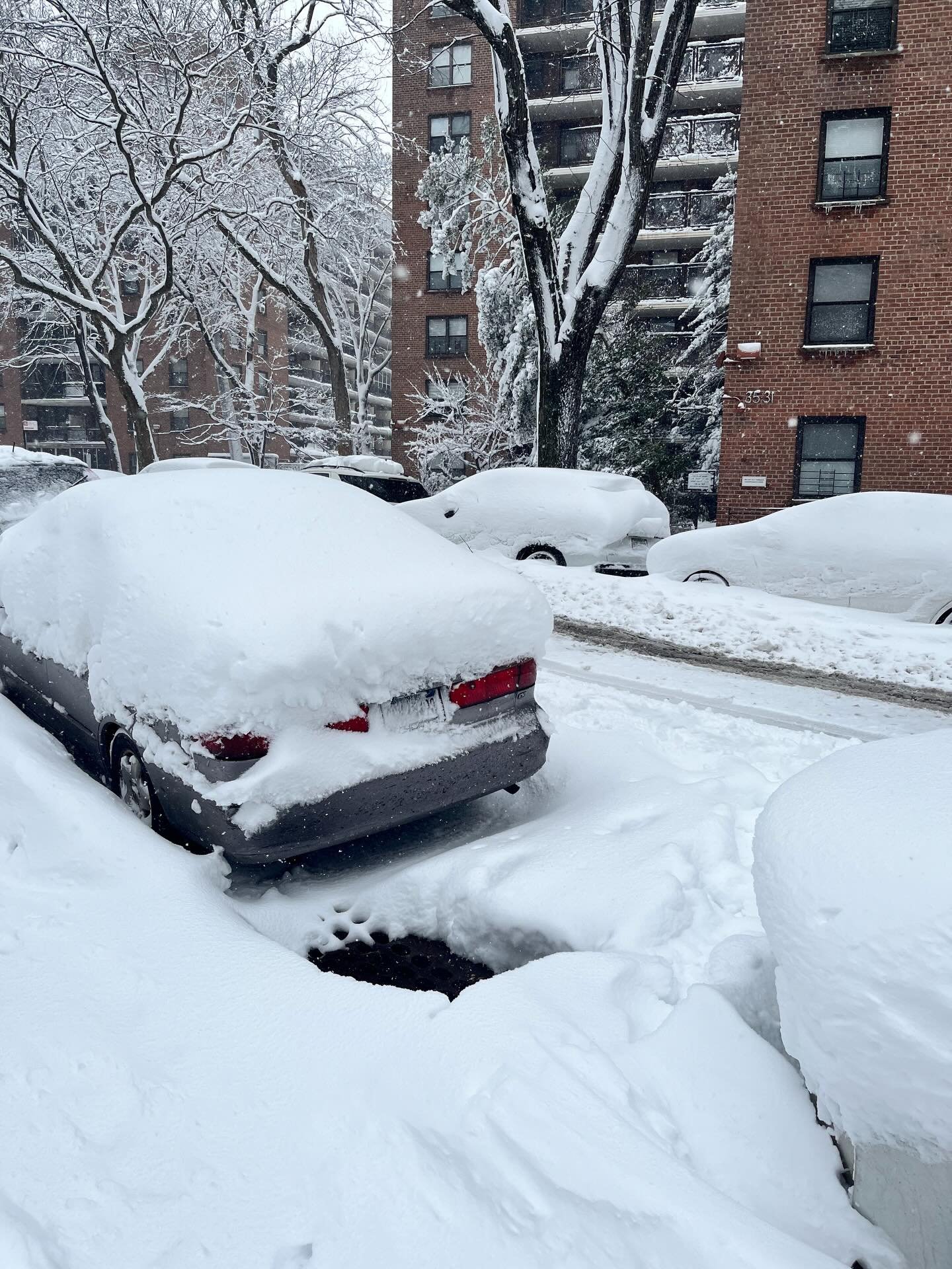 This SoCal girl is snowed-in in New York. I was supposed to be home Sunday night, but I had flight after flight x 5 cancelled, literally. I was in tears when my latest flight got cancelled this morning, but&hellip;

Making the best of my extra days h