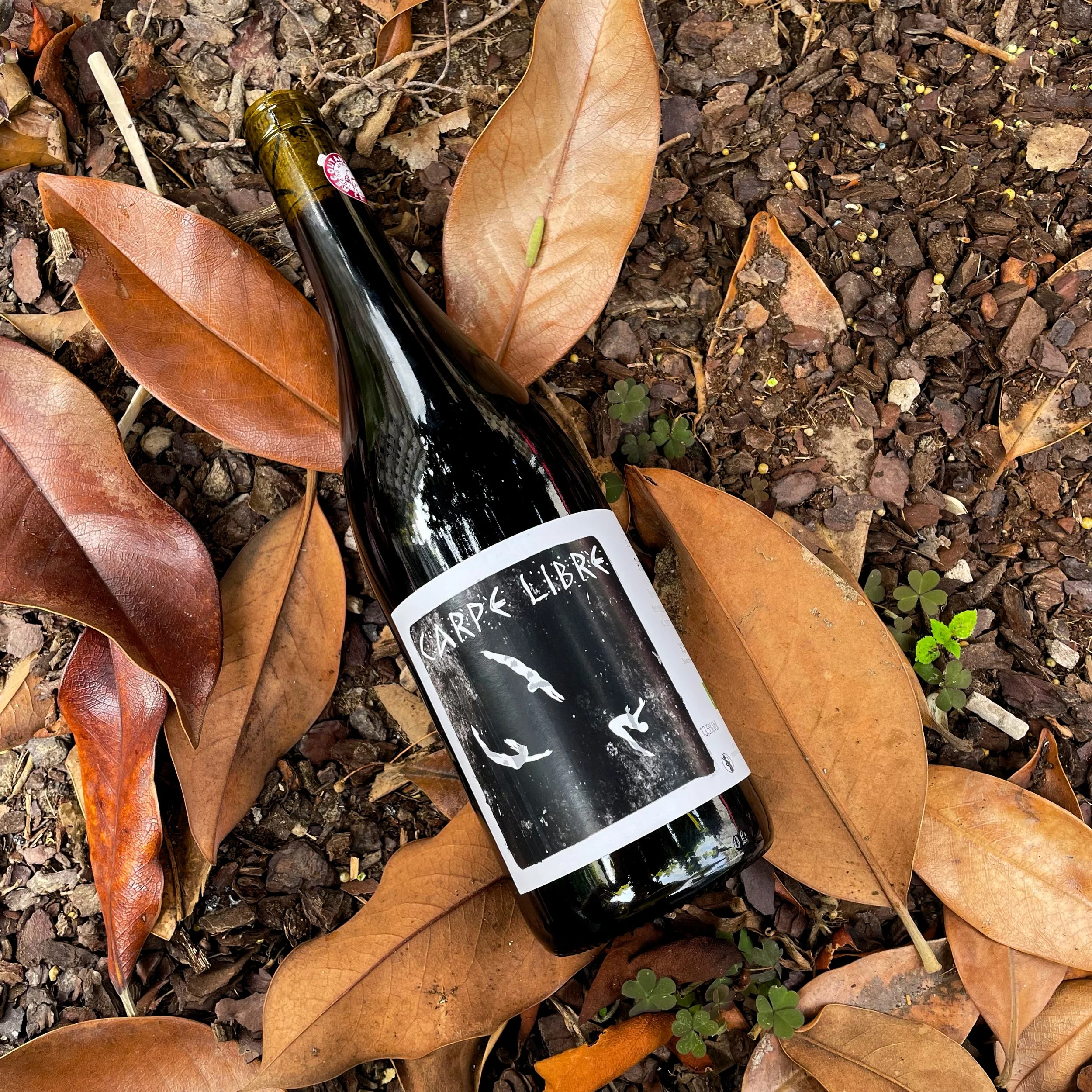 CARPE LIBRE FEUILLES .jpg