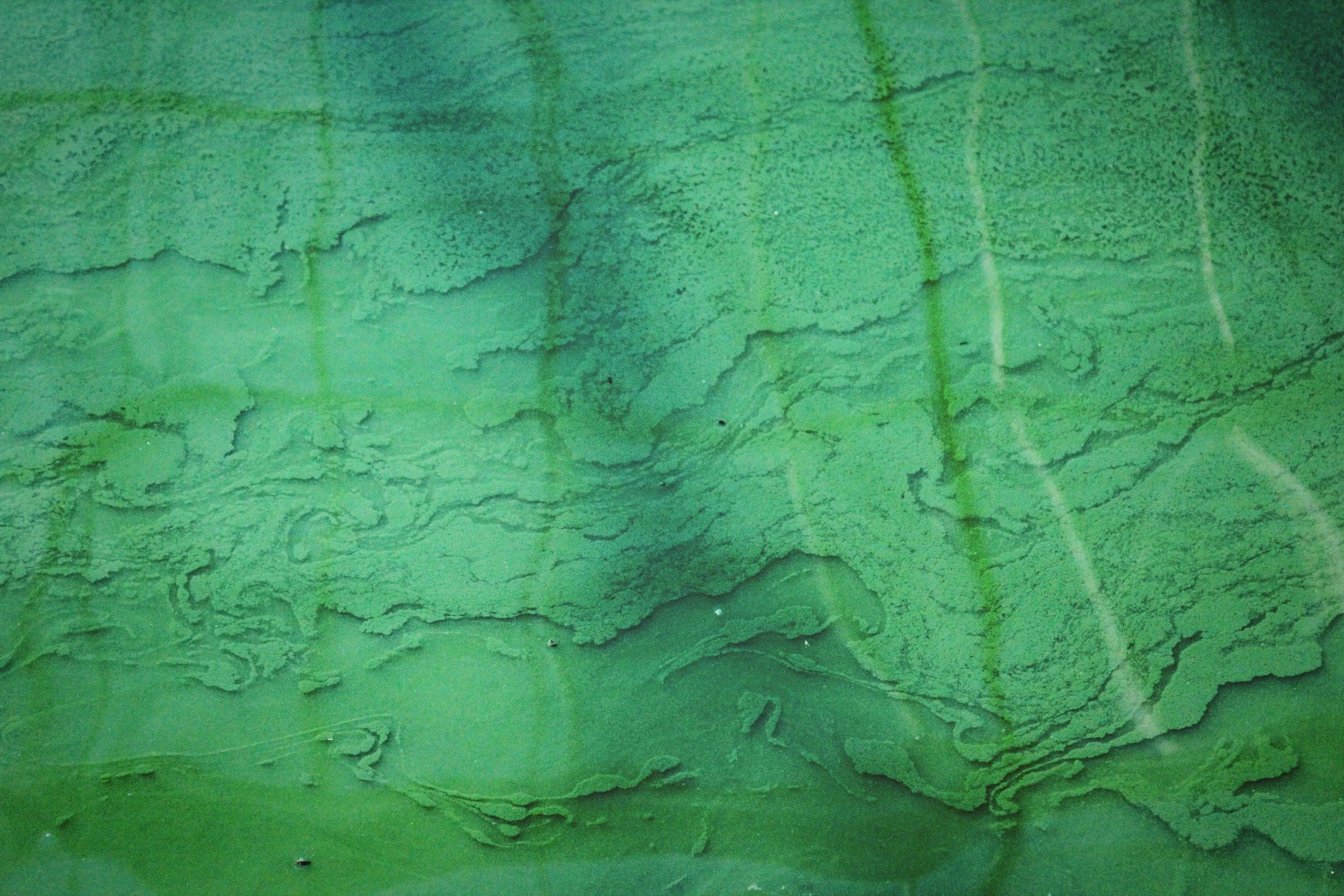 Close-up photo of a rough, textured green painted brick wall with some cracks and uneven surface.
