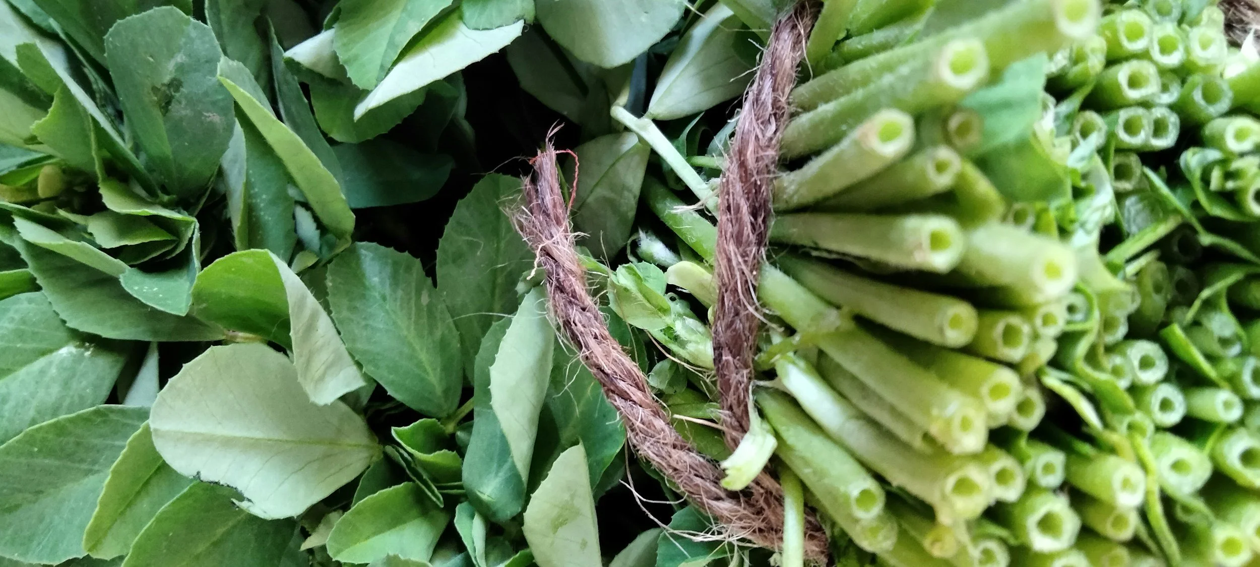 Close-up of fresh green herbs, with a bundle of asparagus at the right side, tied together with a brown string.