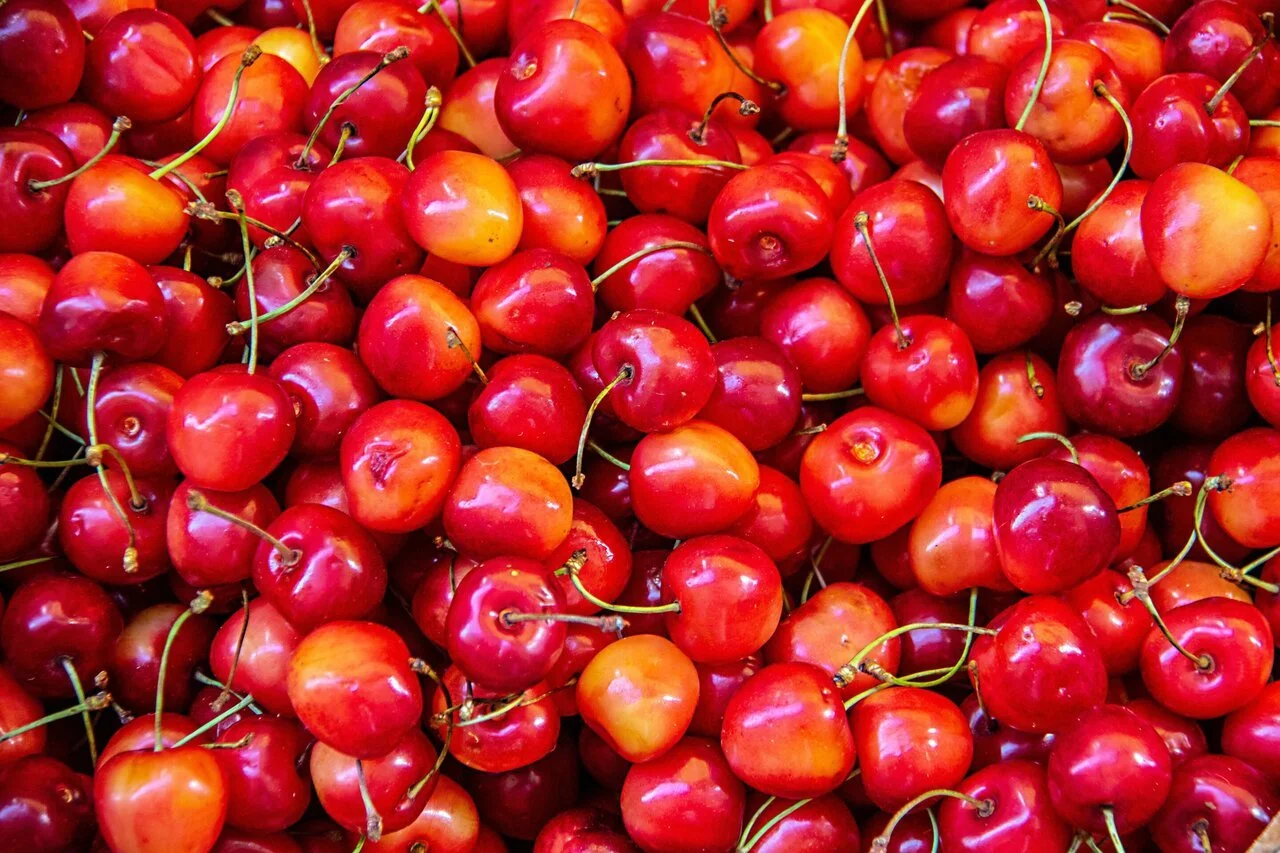 A pile of Montmorency Cherrys