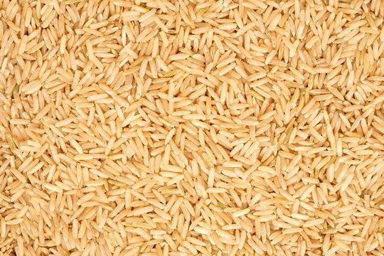 Close-up of rice