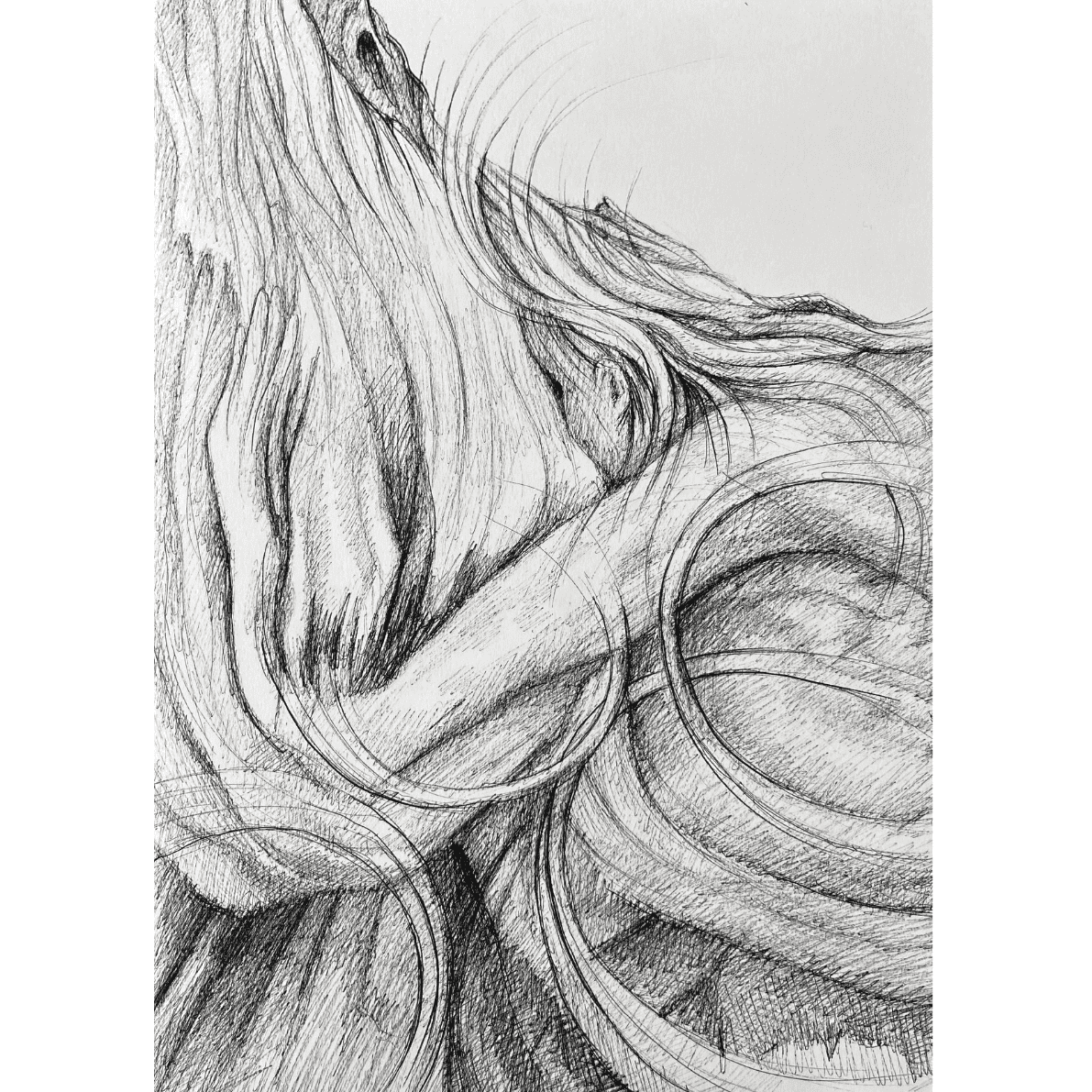 Eeva Honkanen - Merged 1. & Merged 2.