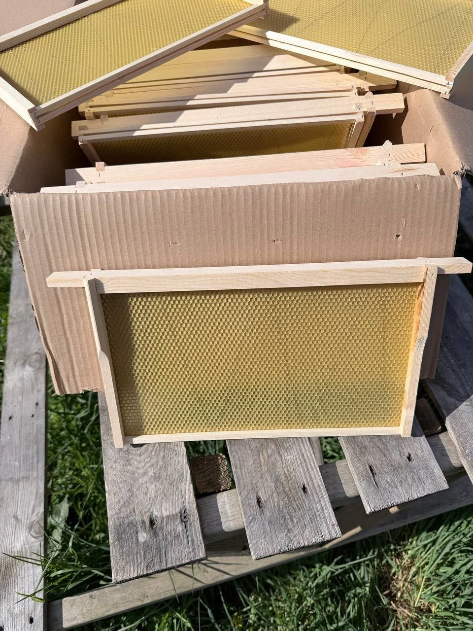 photo_2026-04-23_21-22-52 (2).jpg