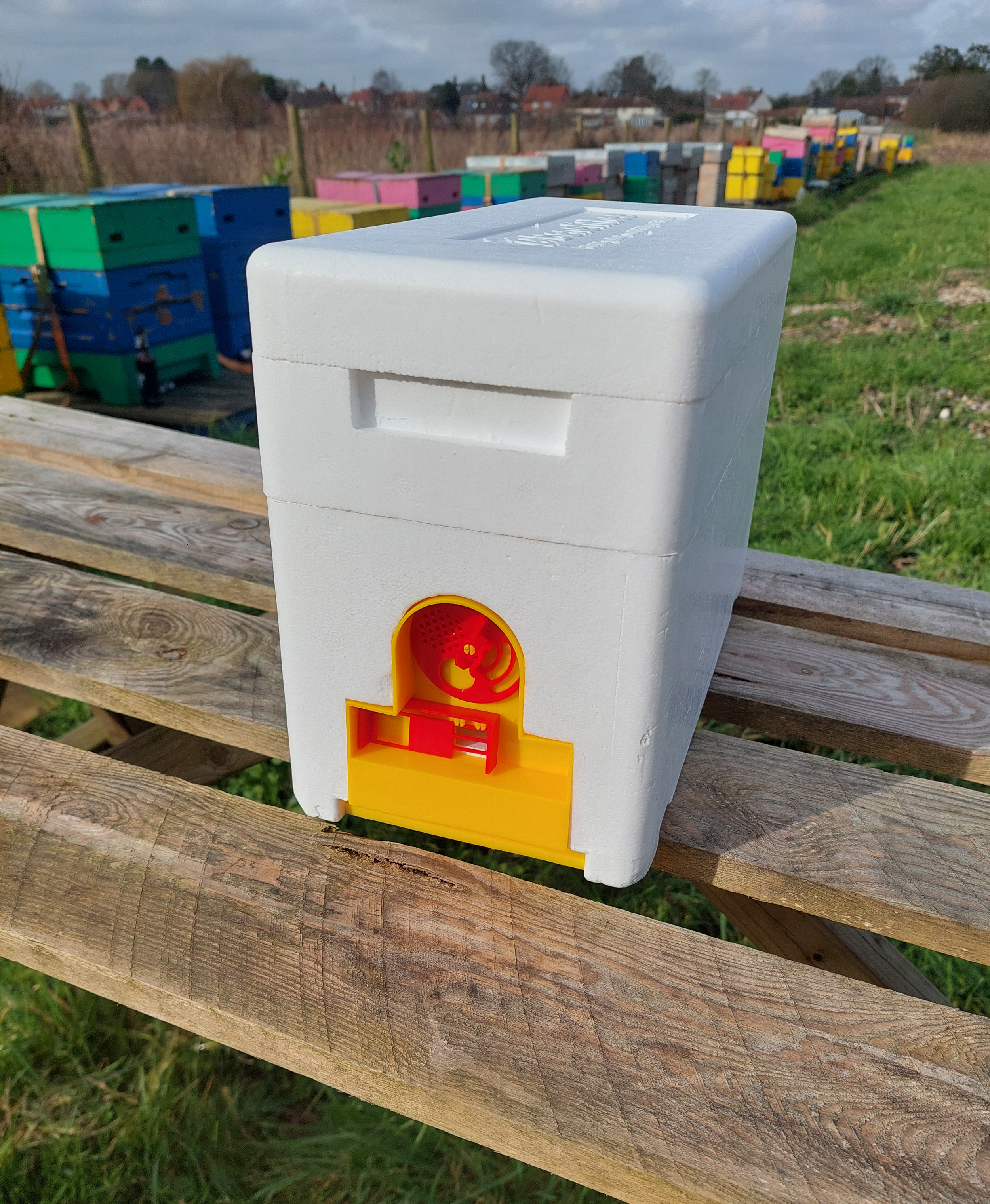 Queen Bee Breeding Box, Bee Hives, Beekeeper Tool, Mini Mating NUC Box, Apidea